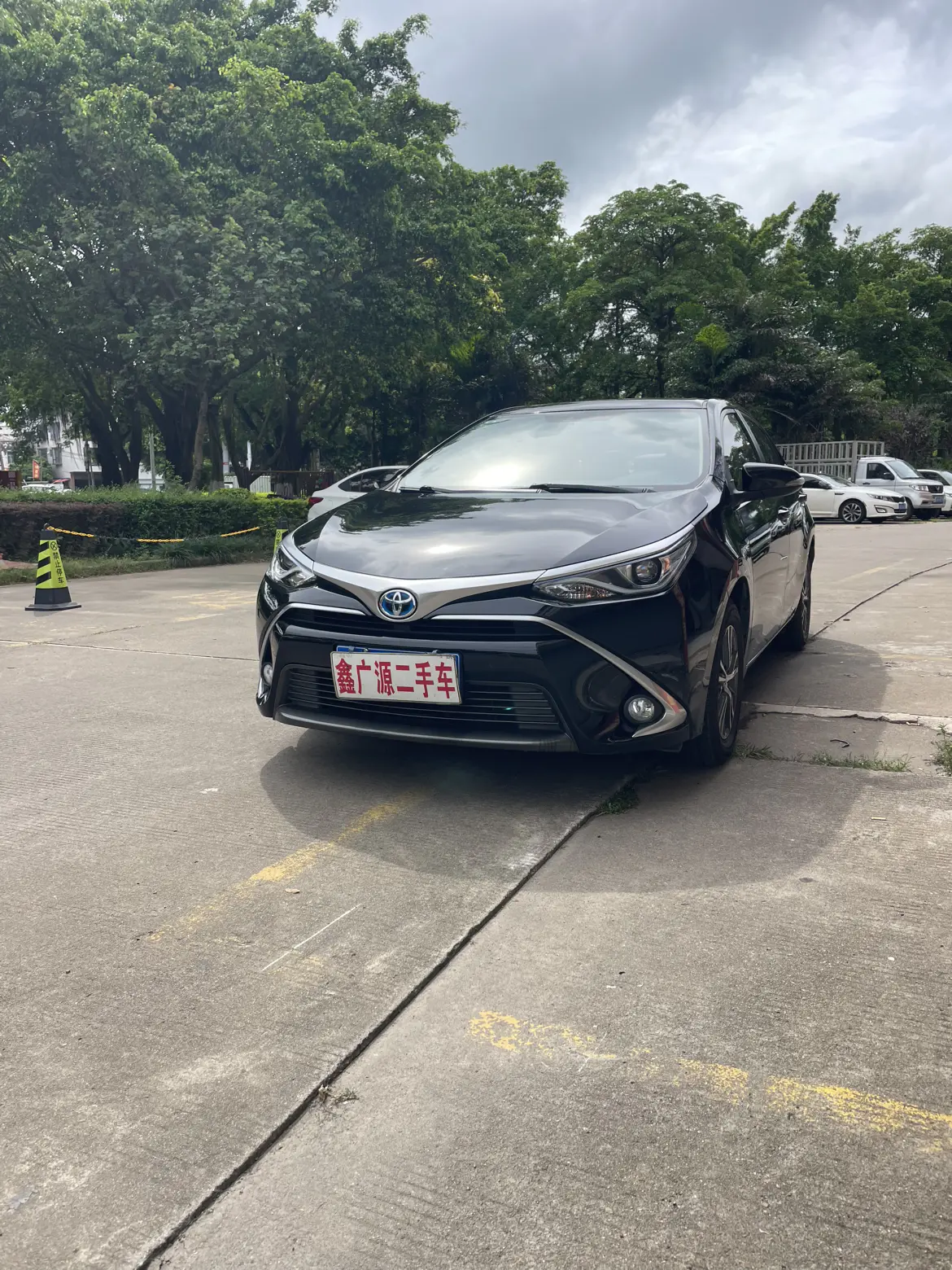 Toyota Levin