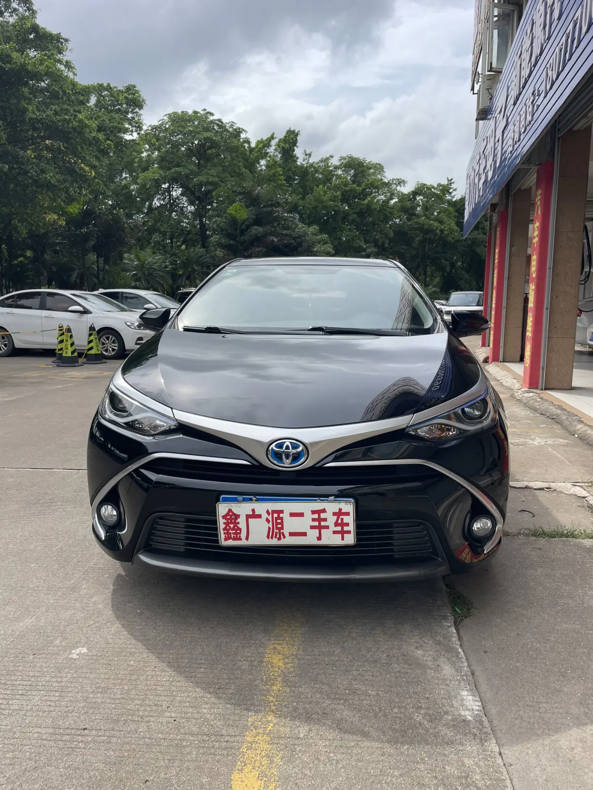 Toyota Levin
