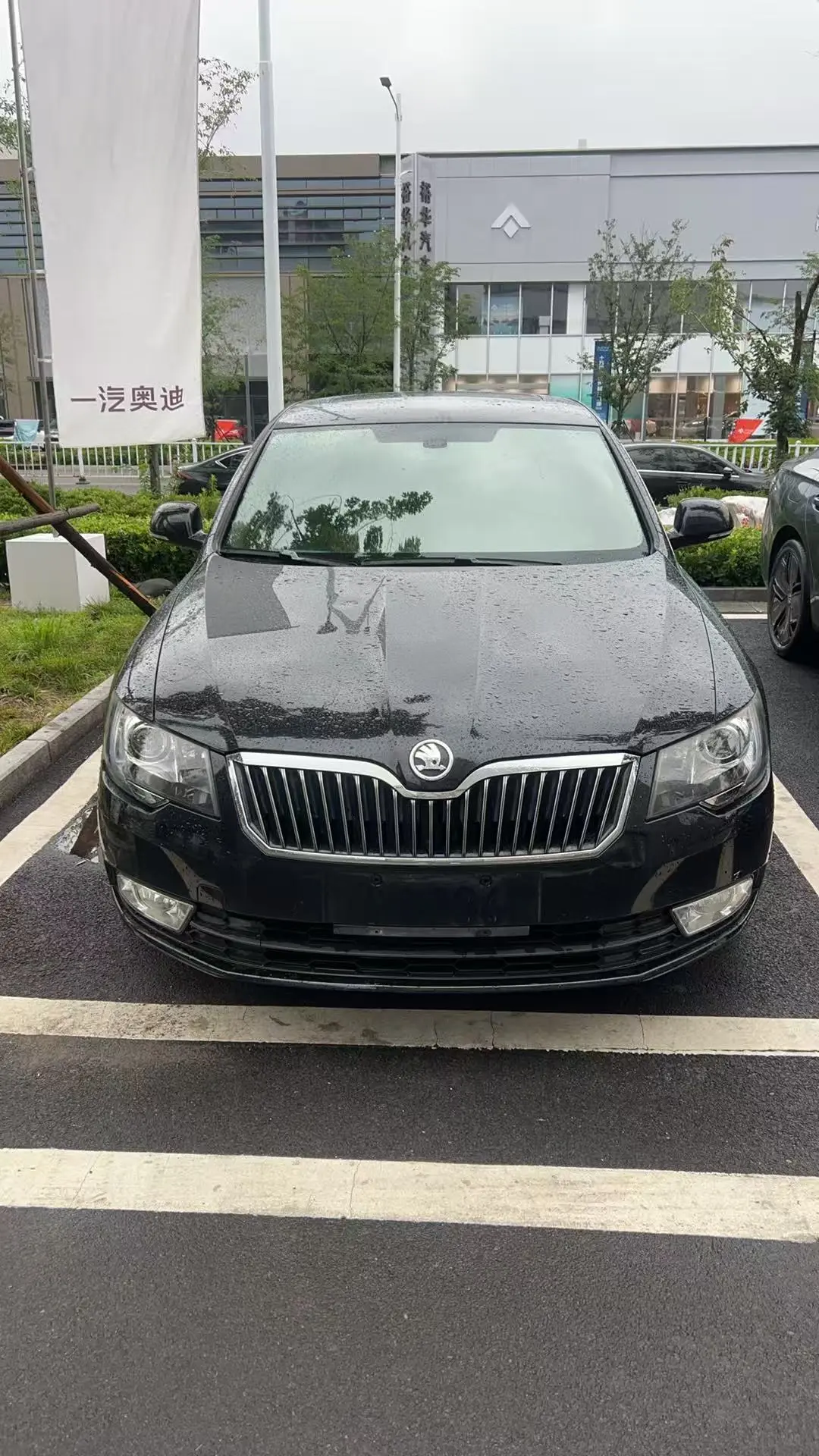 Skoda Speedy