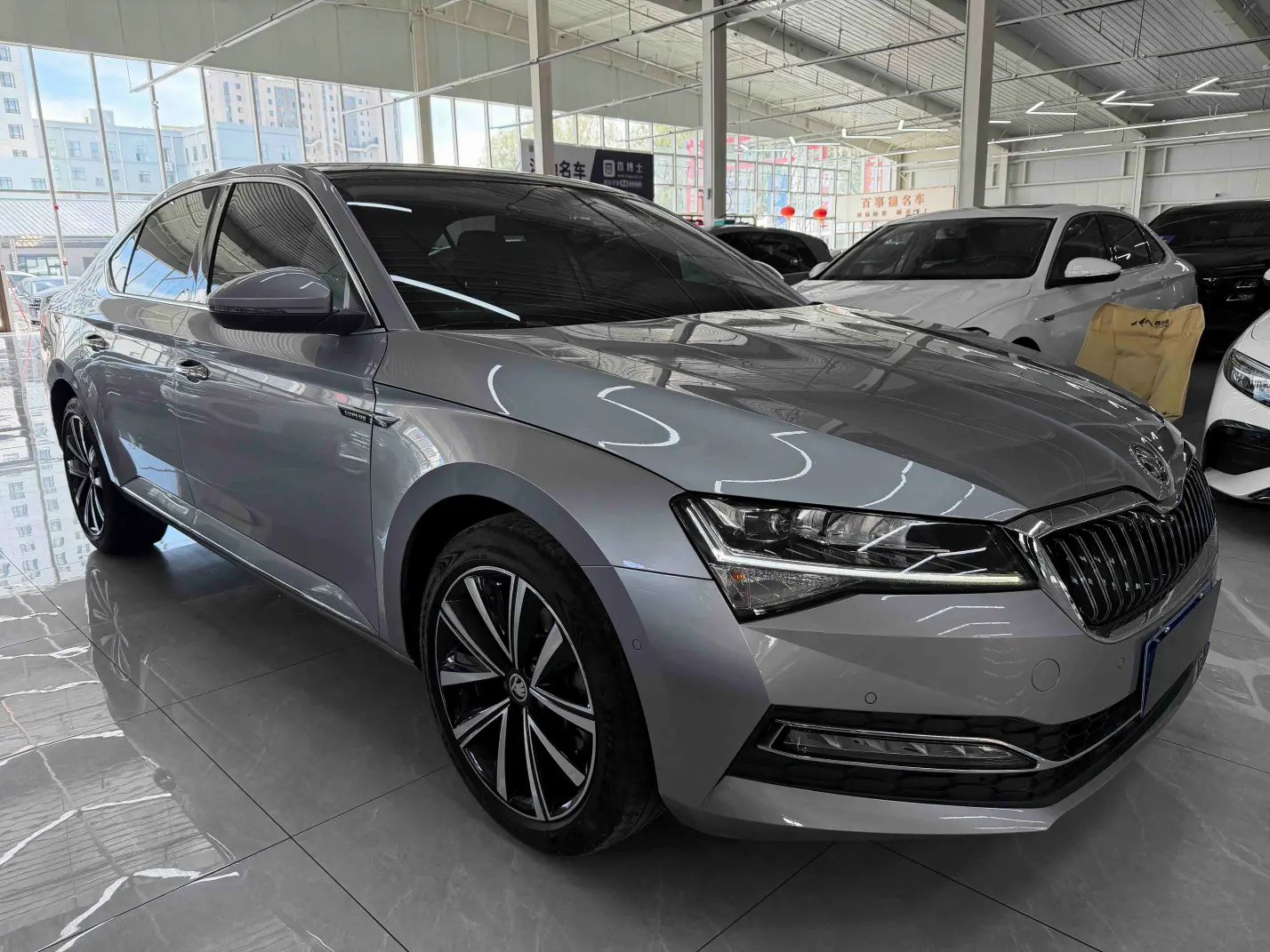 Skoda Speedy