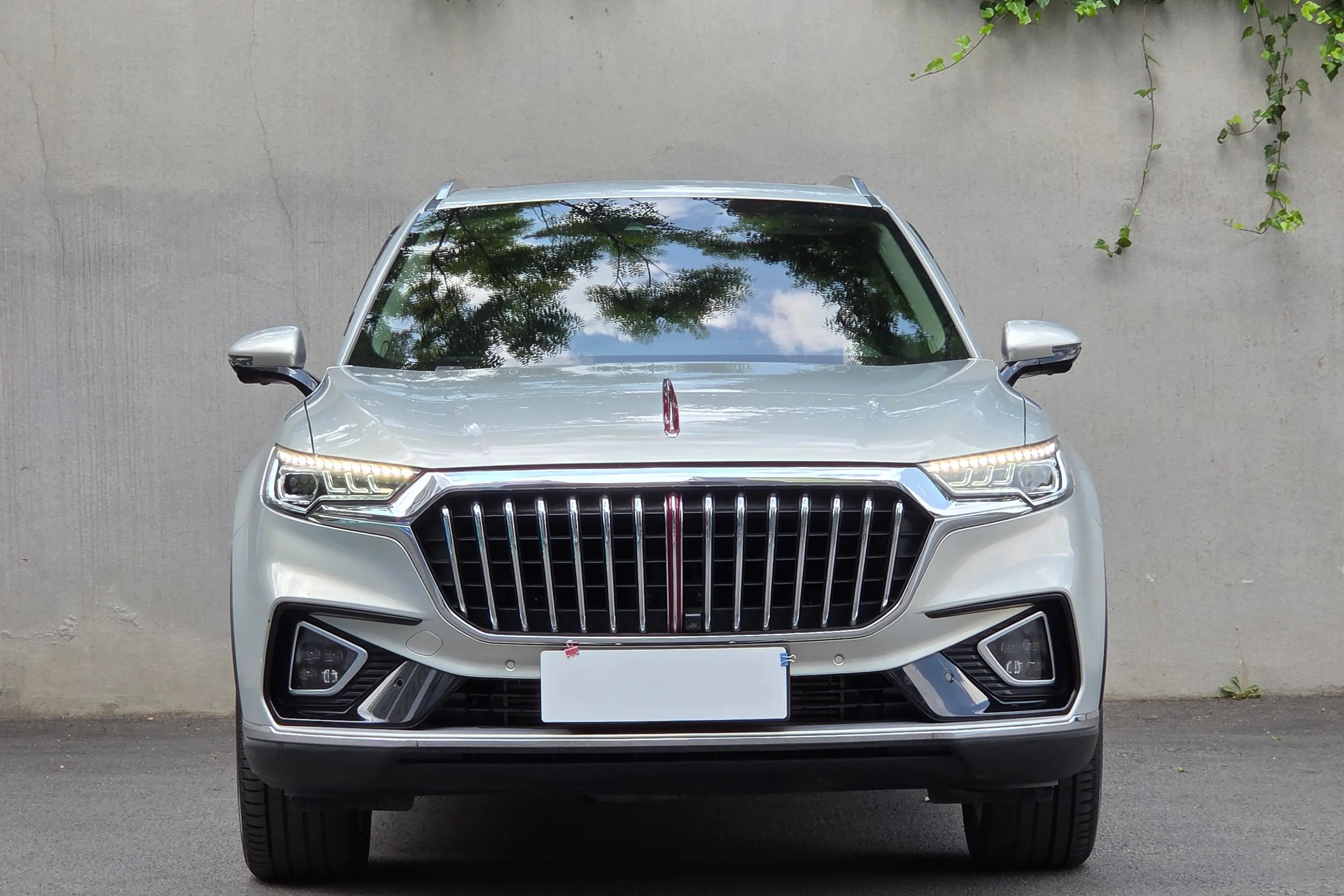 Hongqi HS5