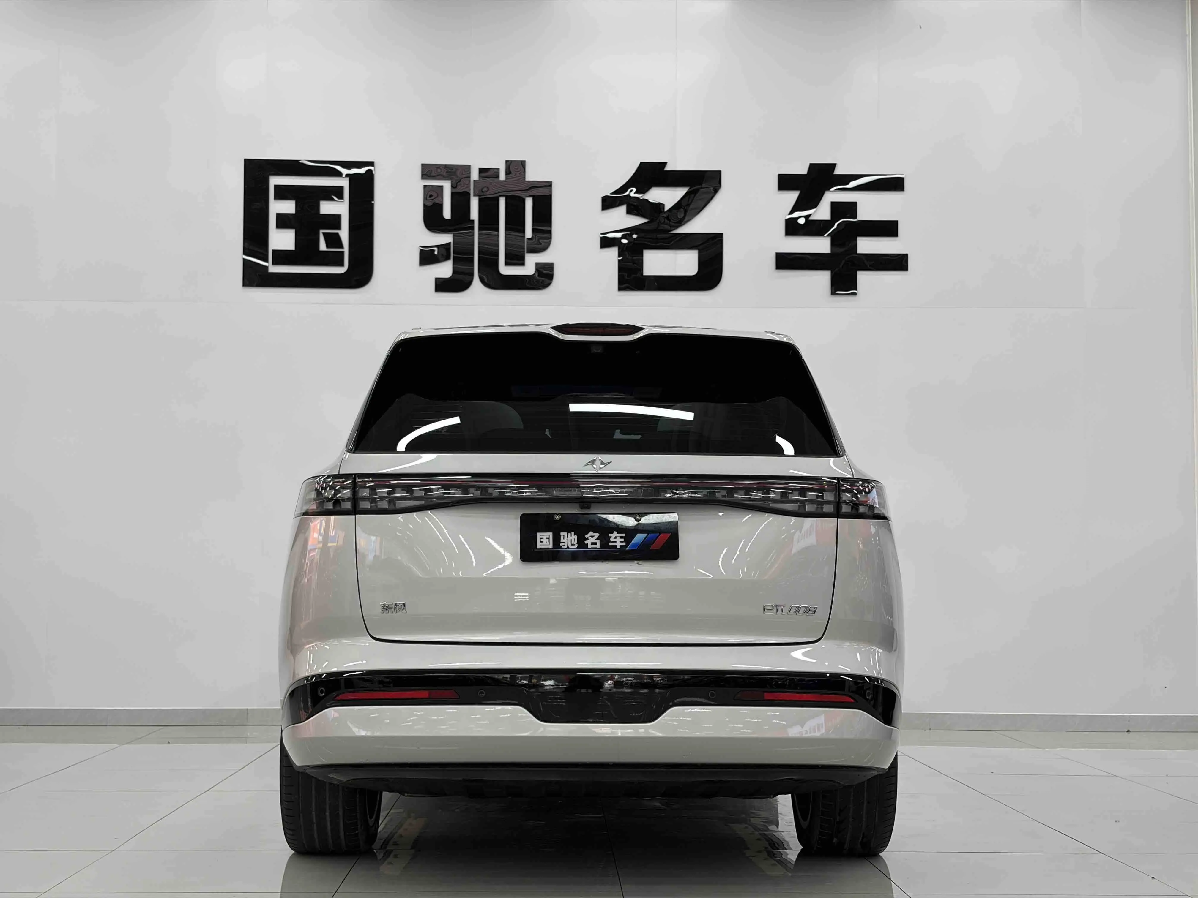 Dongfeng Yipai 008