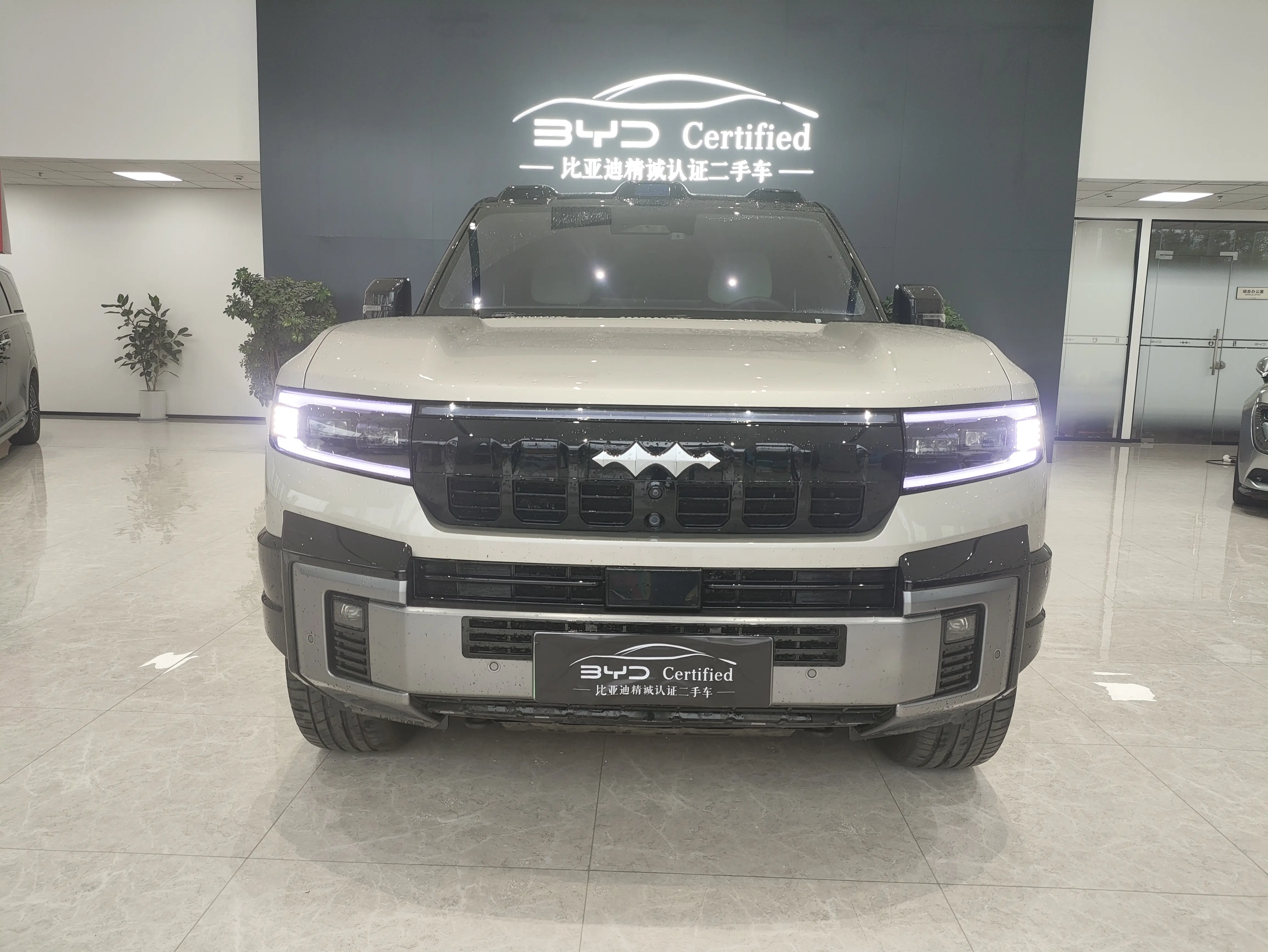 BYD Leopard Leopard 8