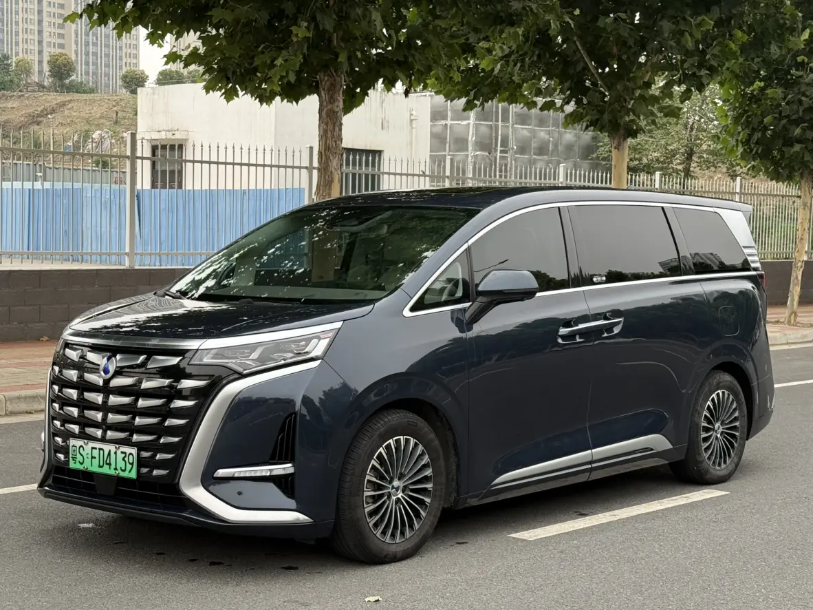 Denza D9 DM