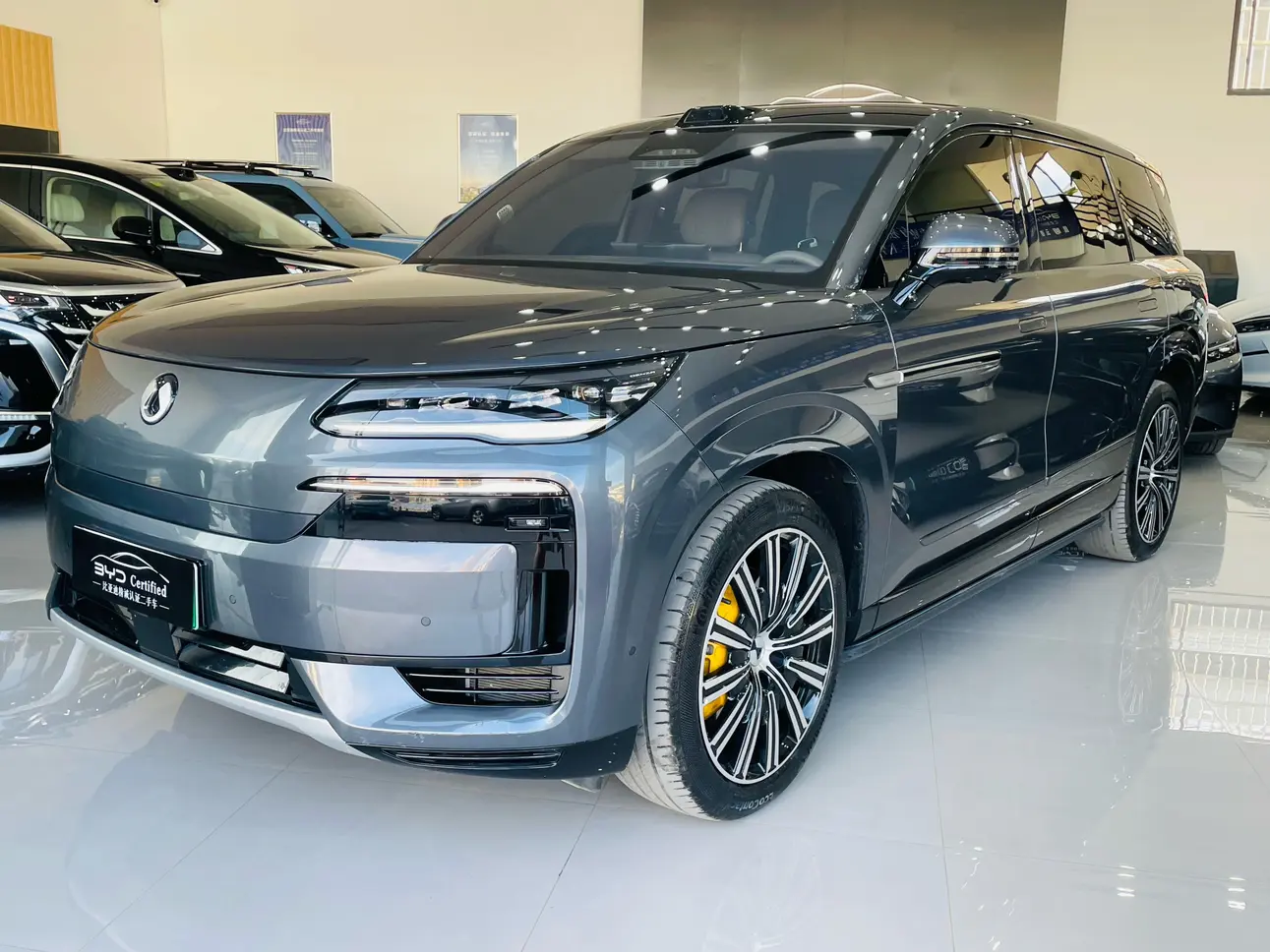 Denza Tengzhong N9 DM