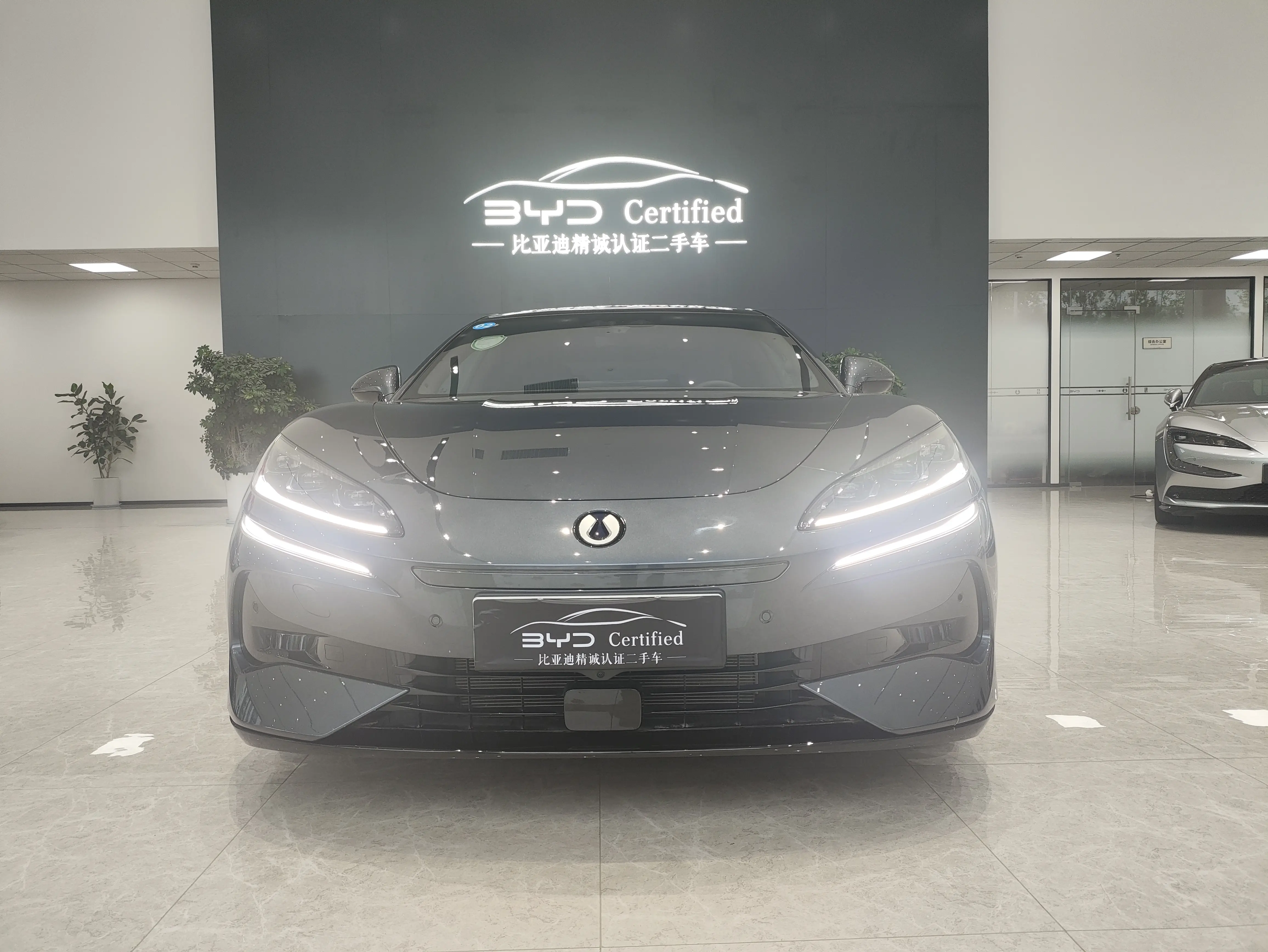 Denza Tengzhong Z9 DM