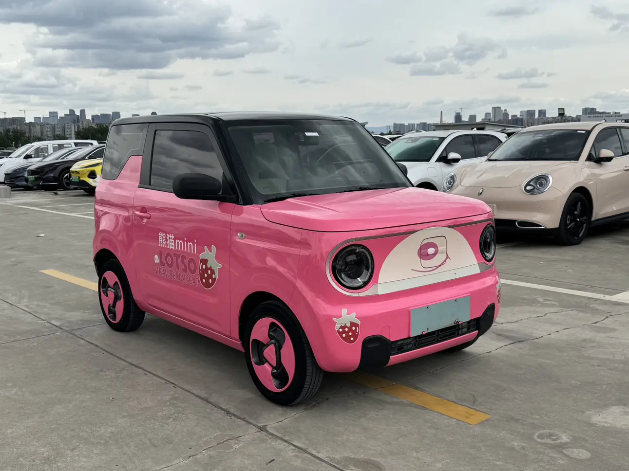 Geely panda