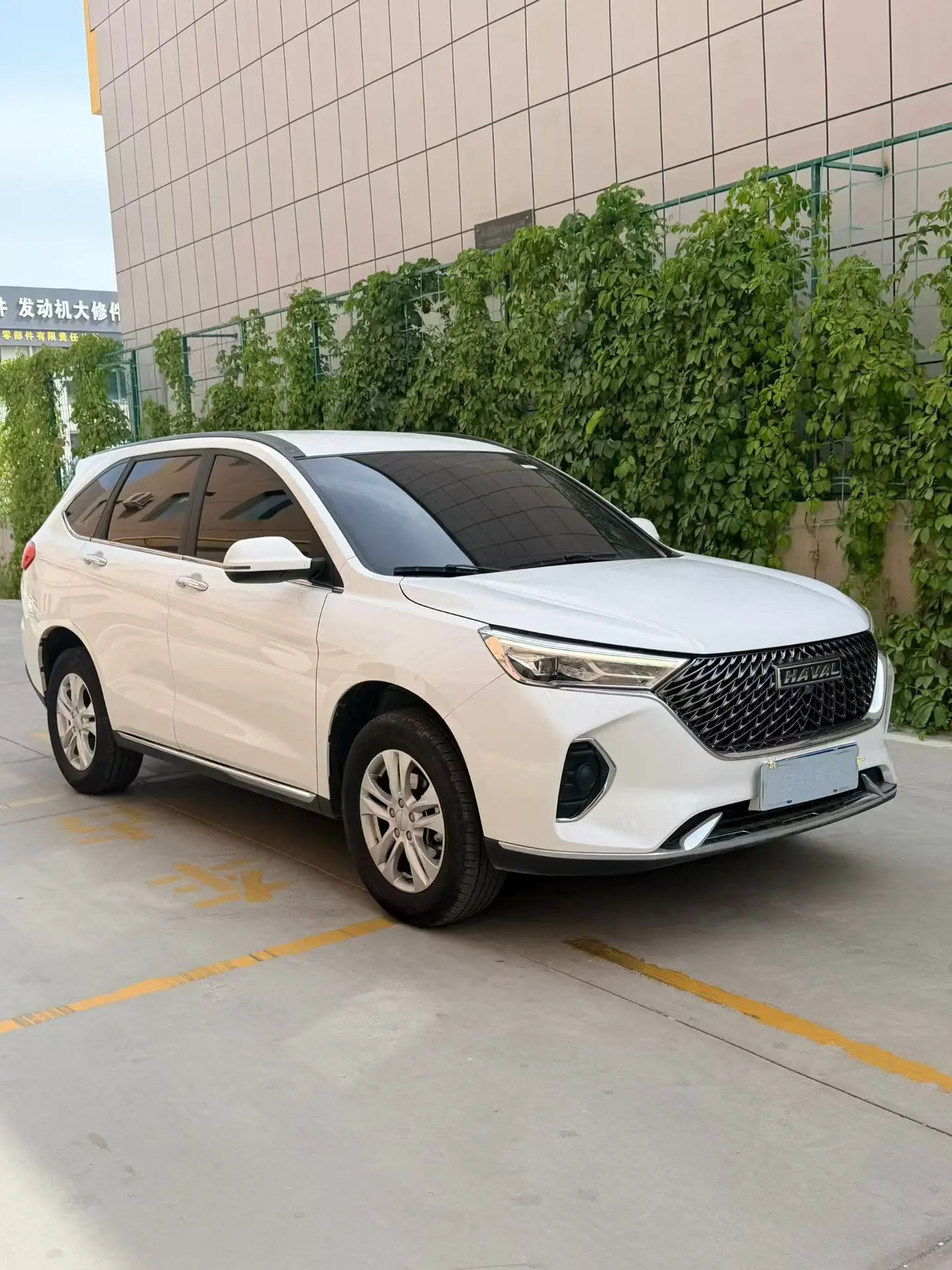 Haval M6