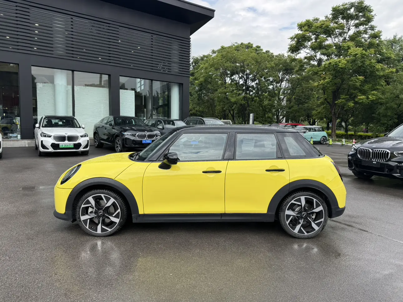 MINI 