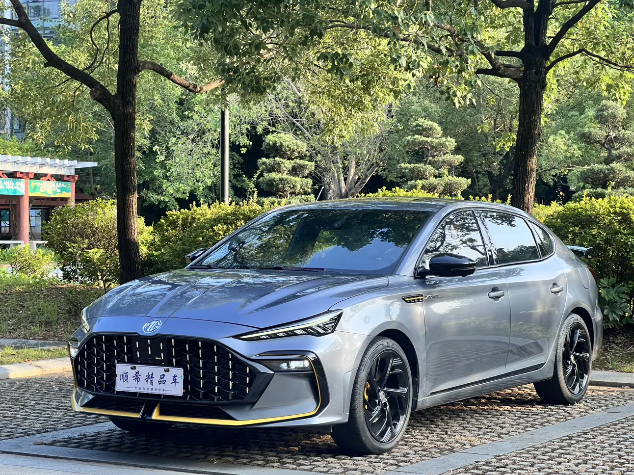 MG 6