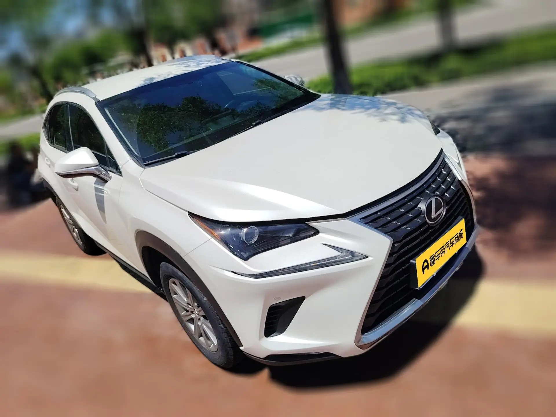 Lexus NX