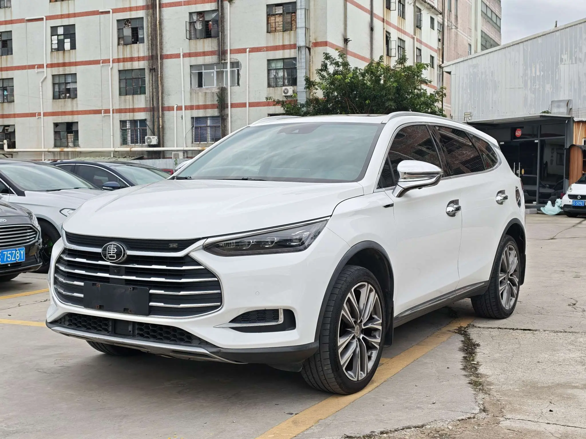 BYD Tang