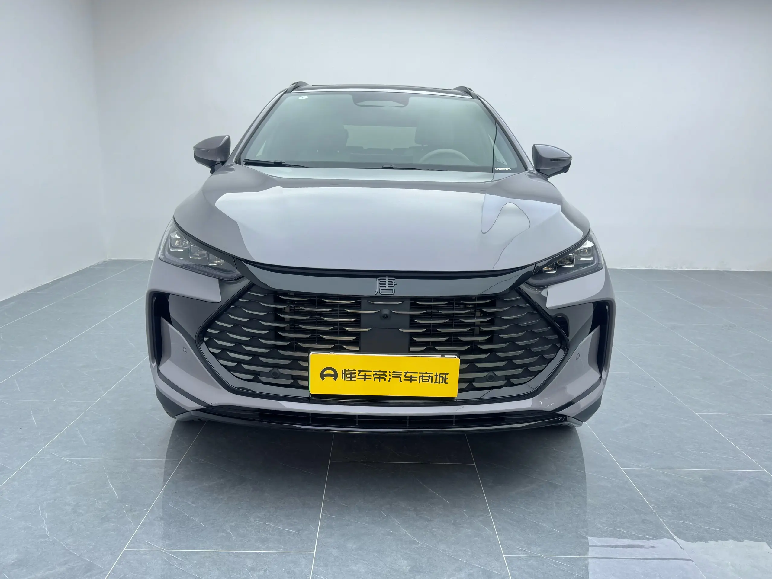 BYD Tang DM