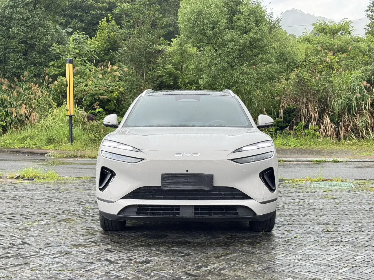 BYD Sea Lion 06EV