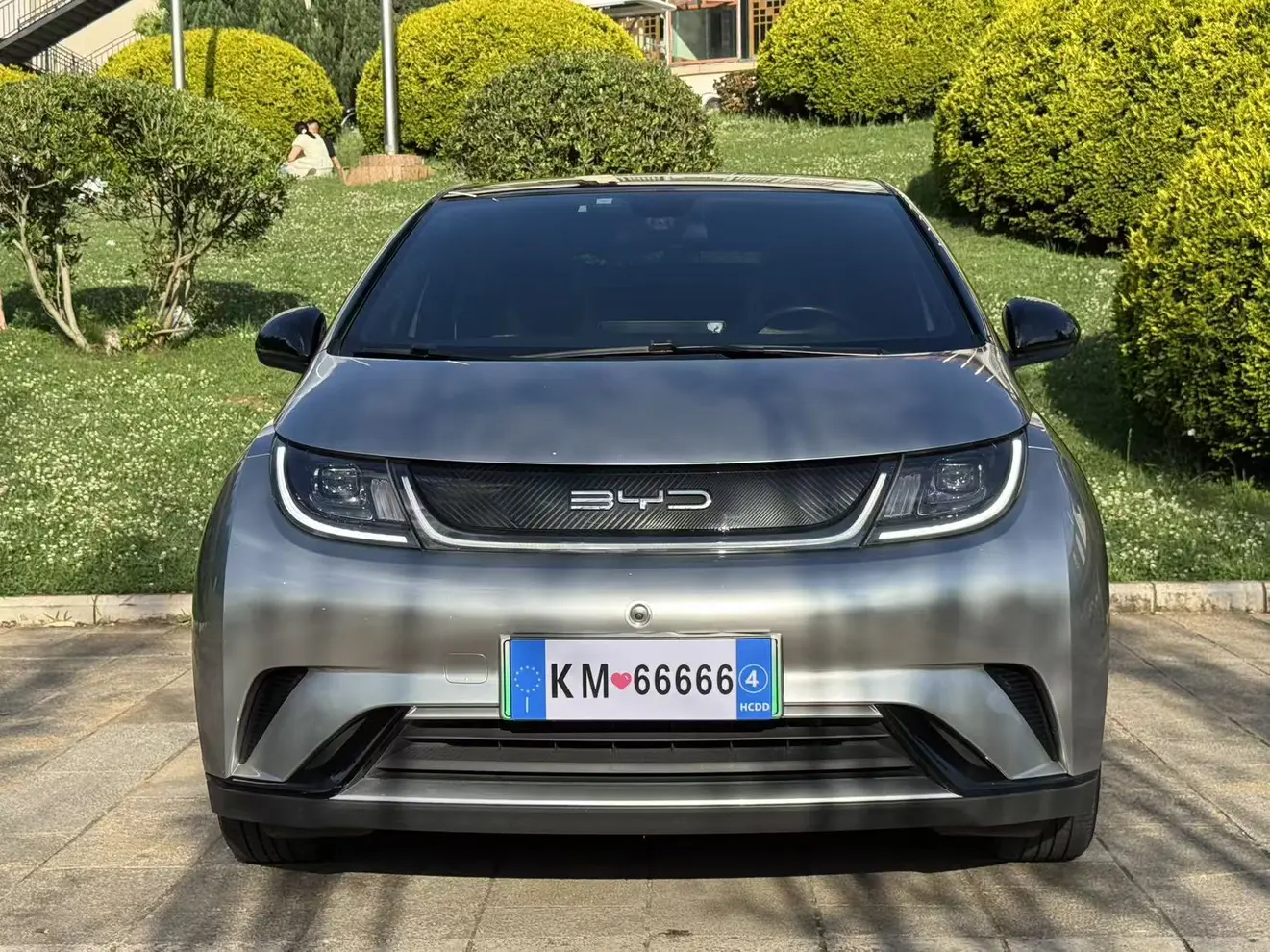 BYD dolphin
