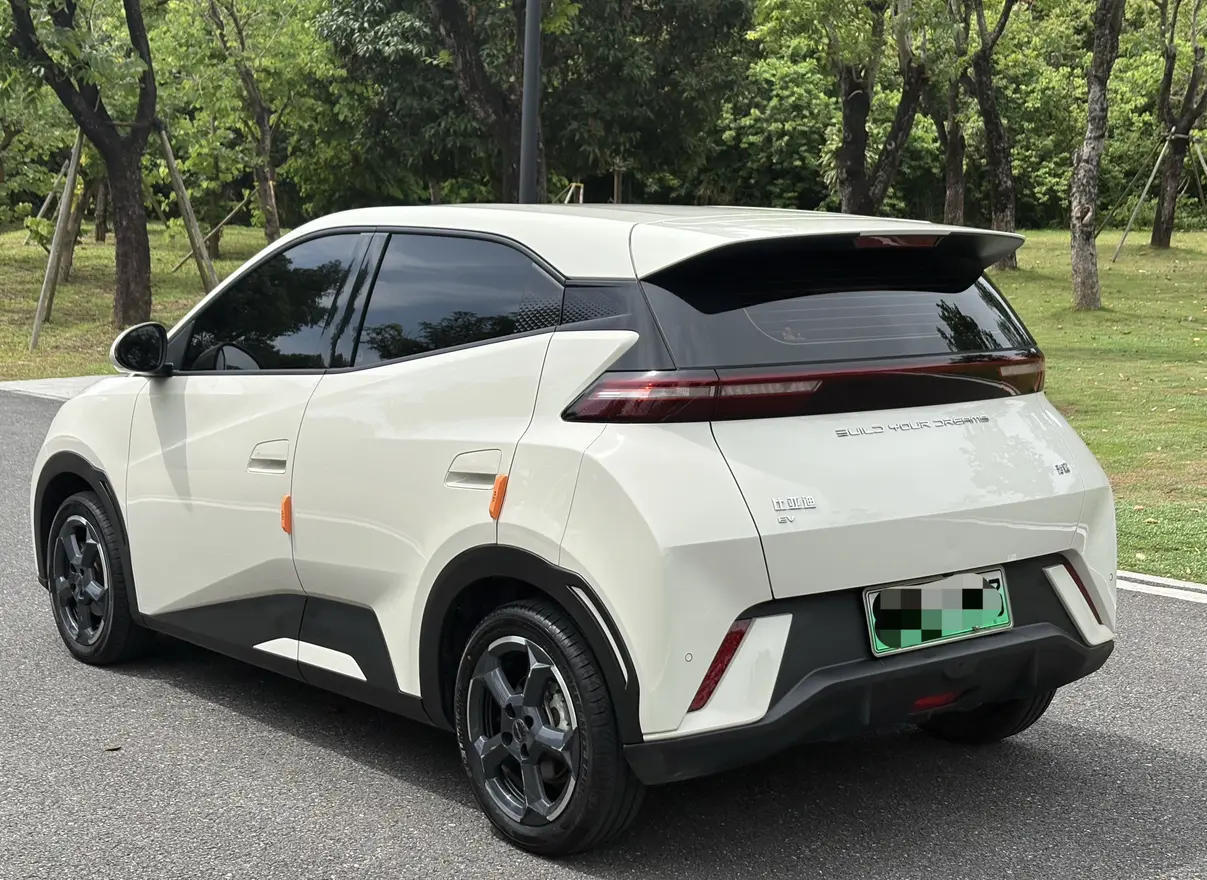 BYD Seagull
