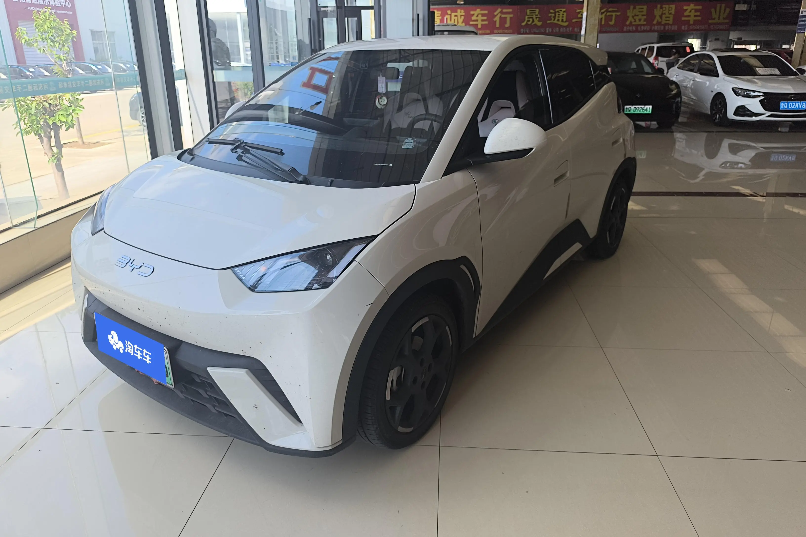 BYD Seagull