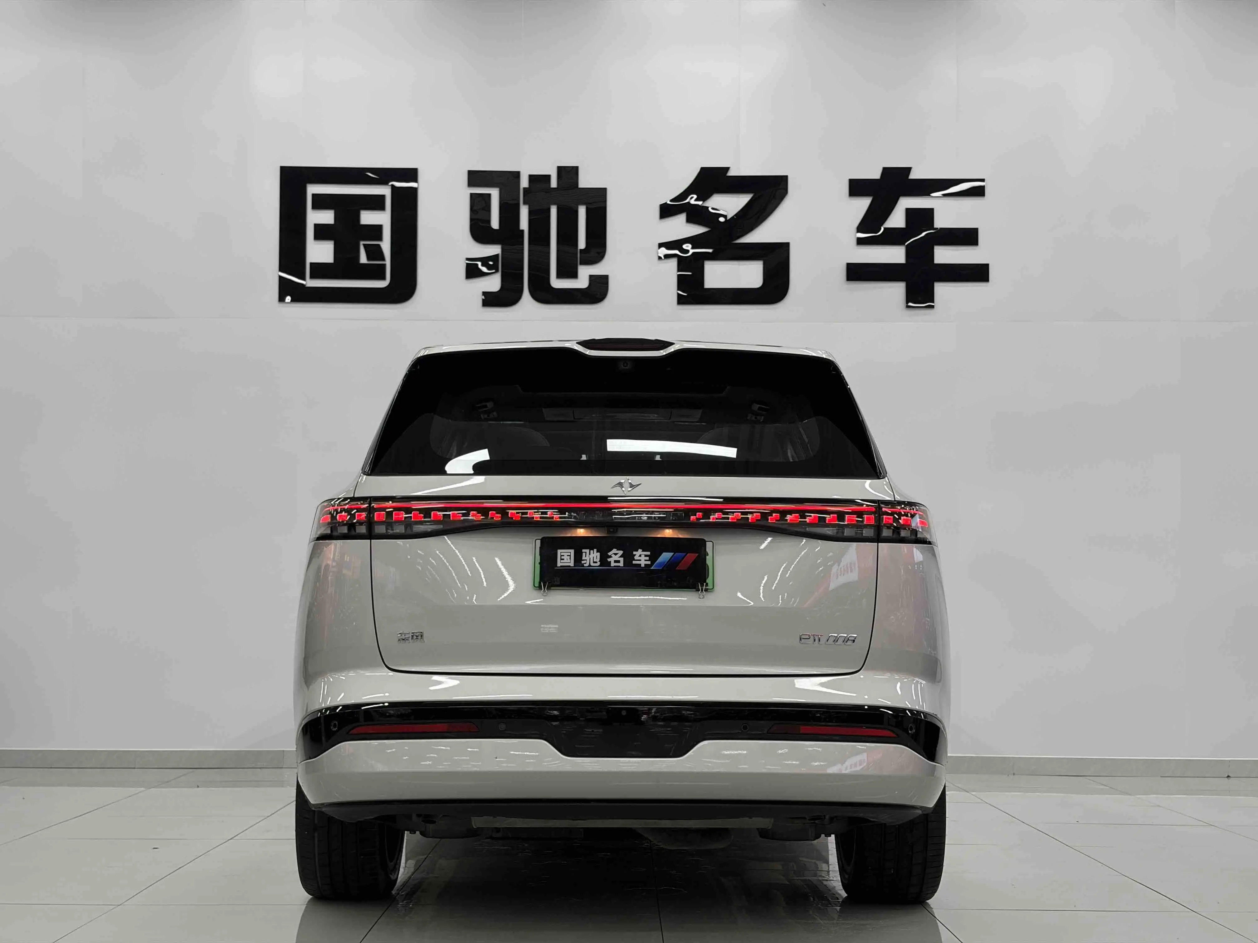 Dongfeng Yipai 008