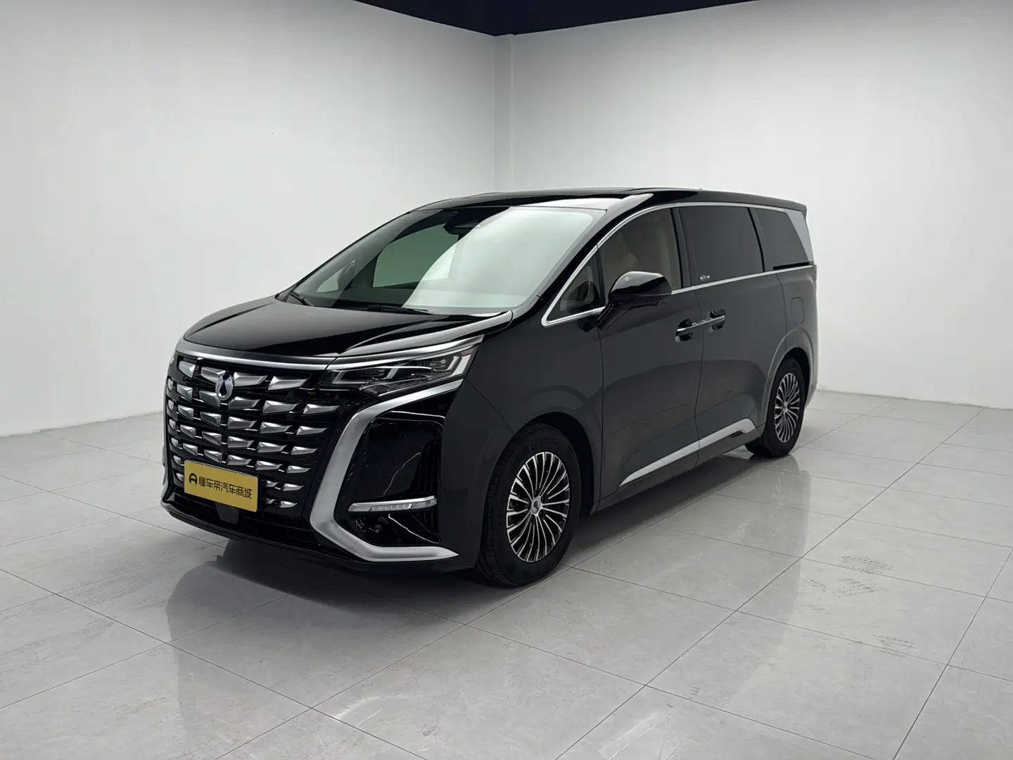 Denza D9 DM