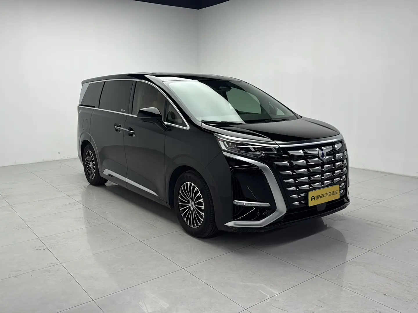Denza D9 DM