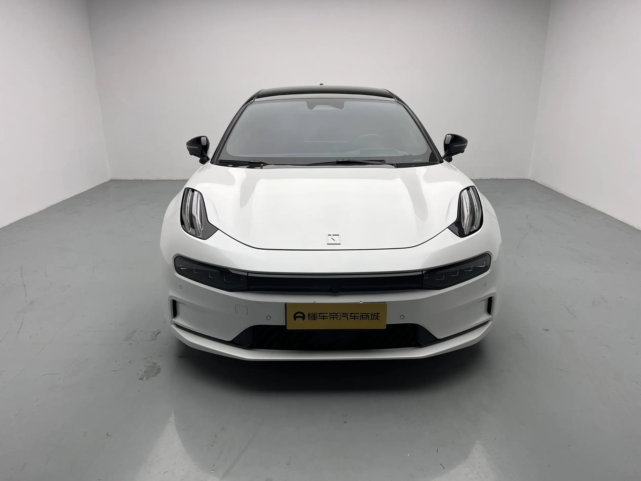 ZEEKR 001