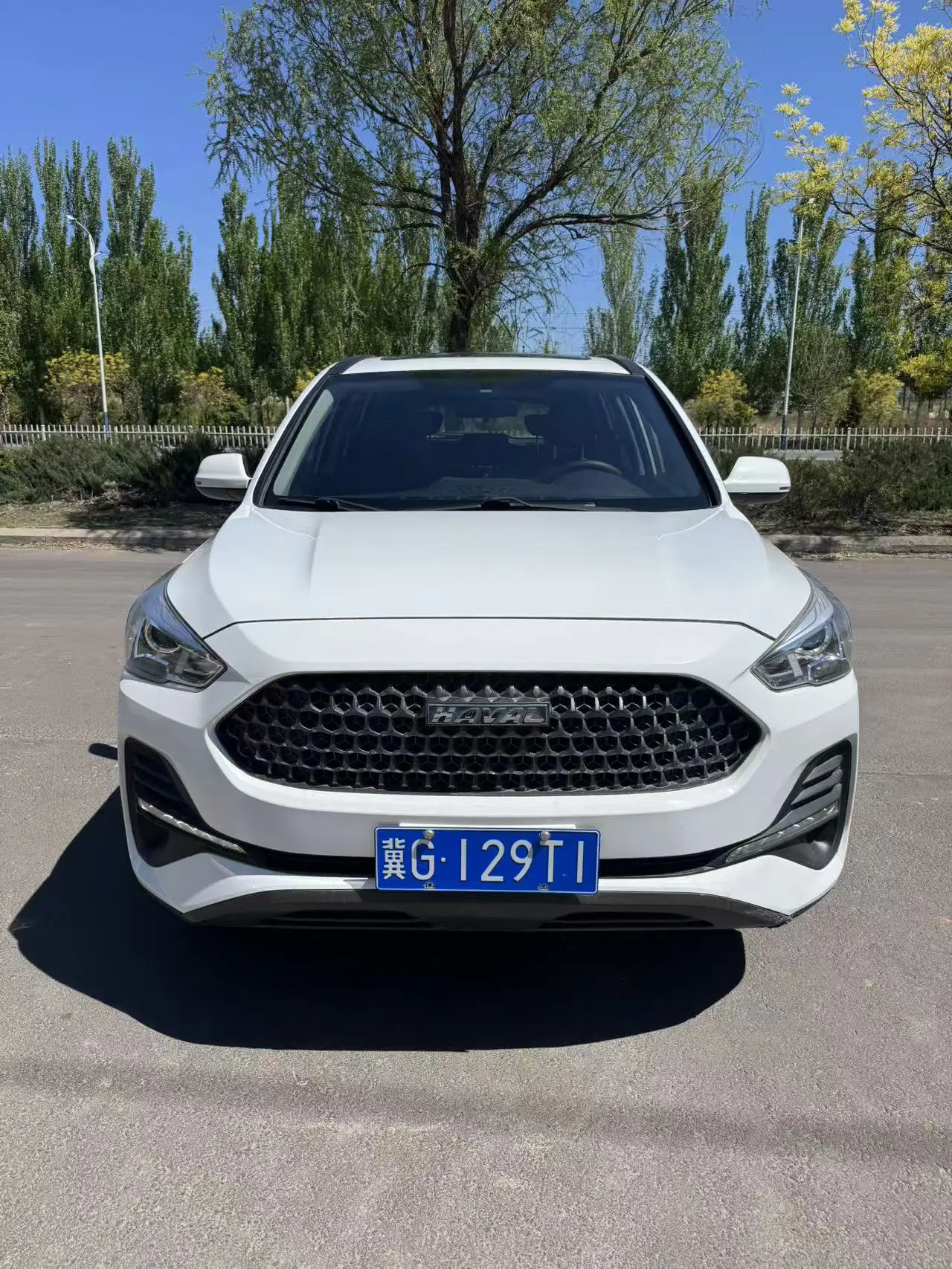 Haval M6