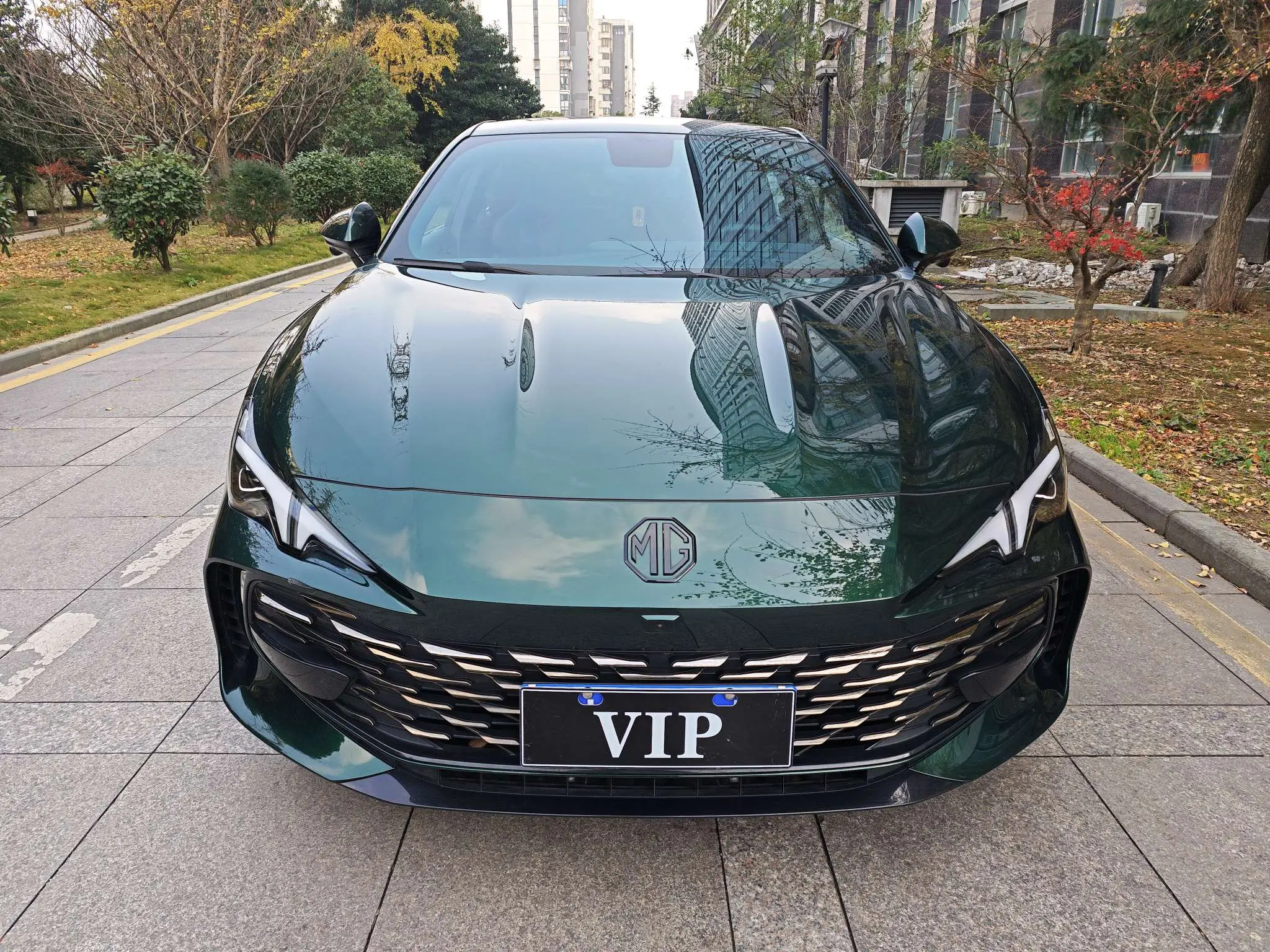 MG 7