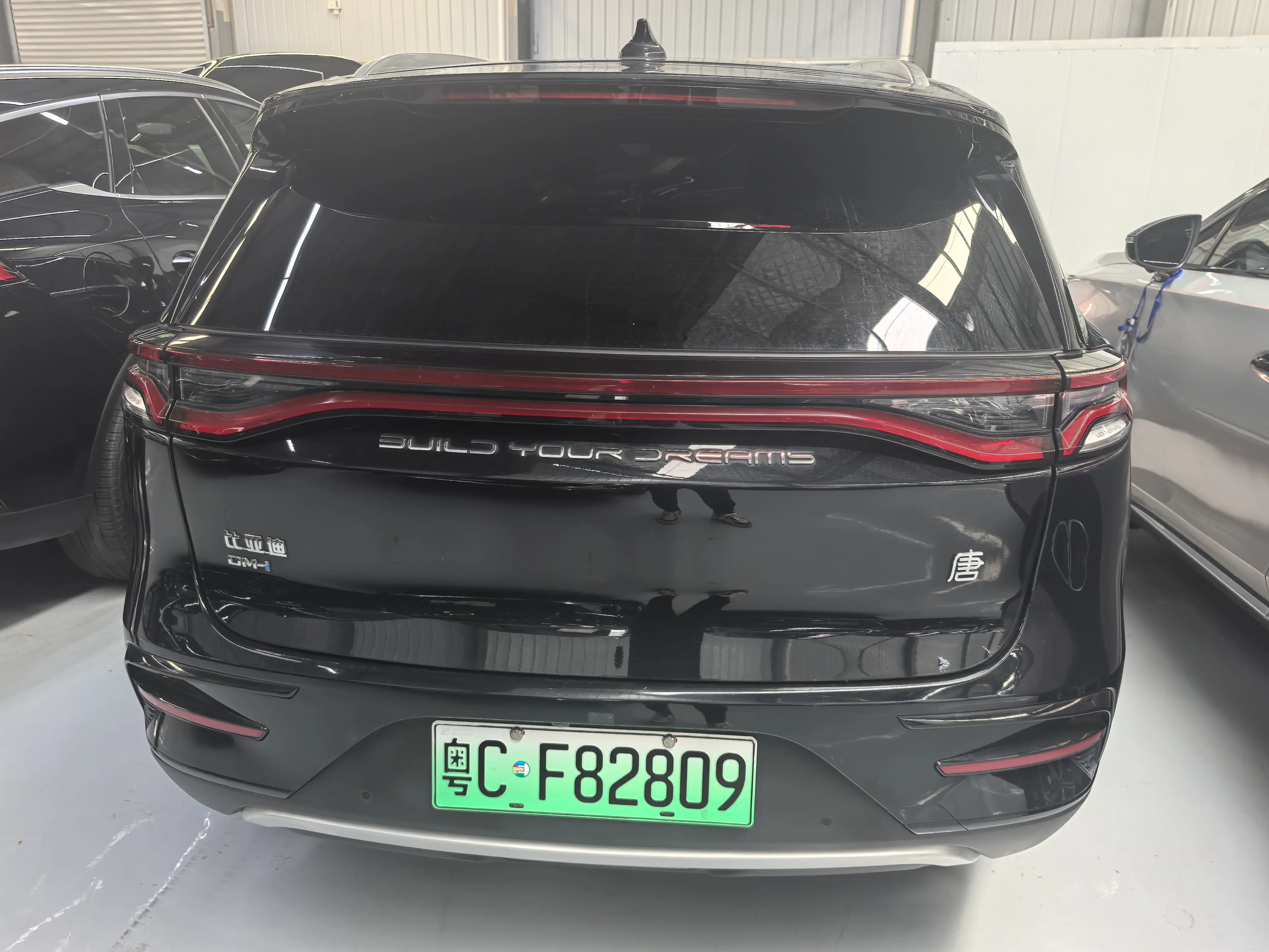 BYD Tang DM