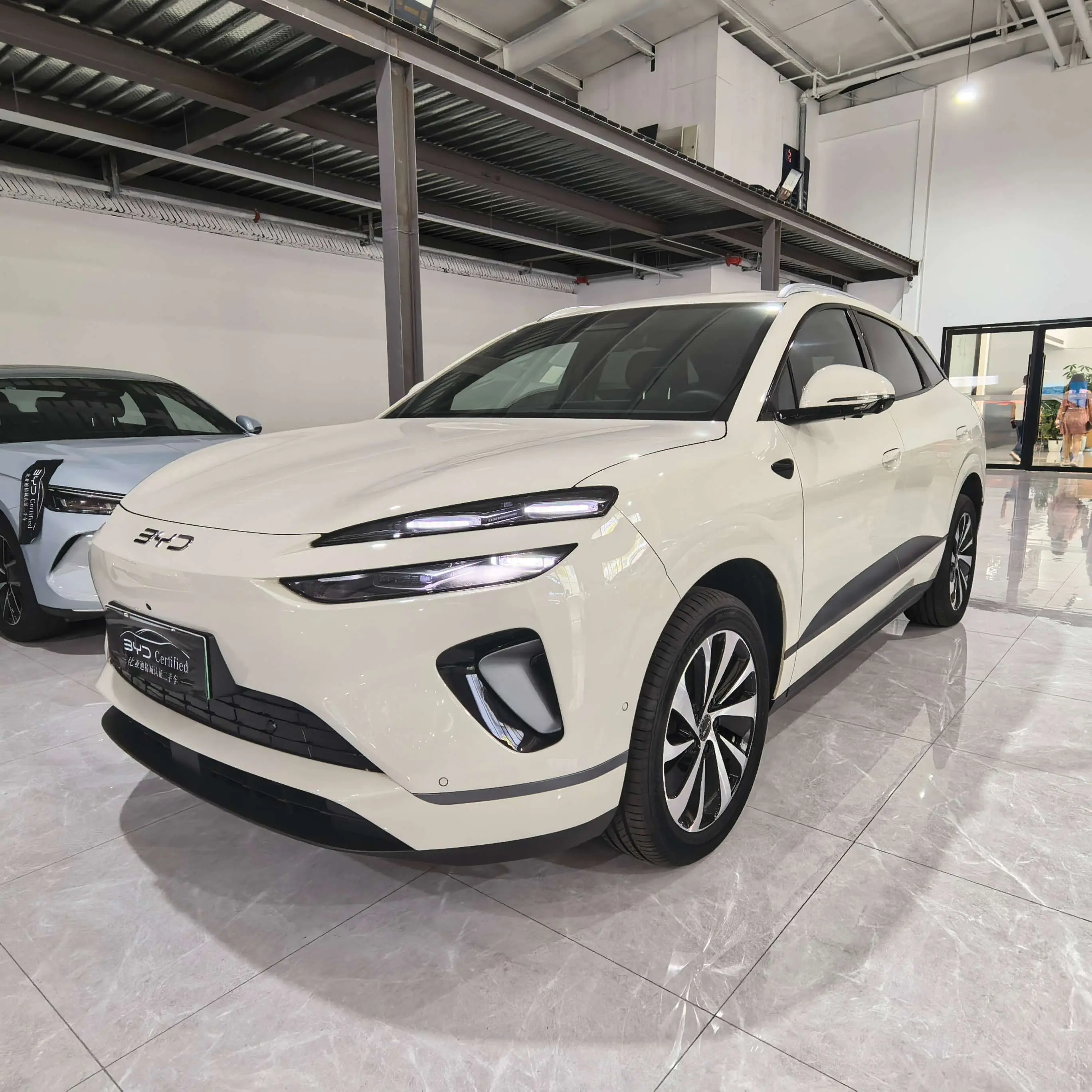 BYD Sea Lion 06EV