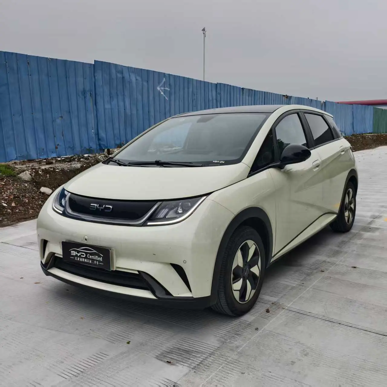 BYD Dolphin