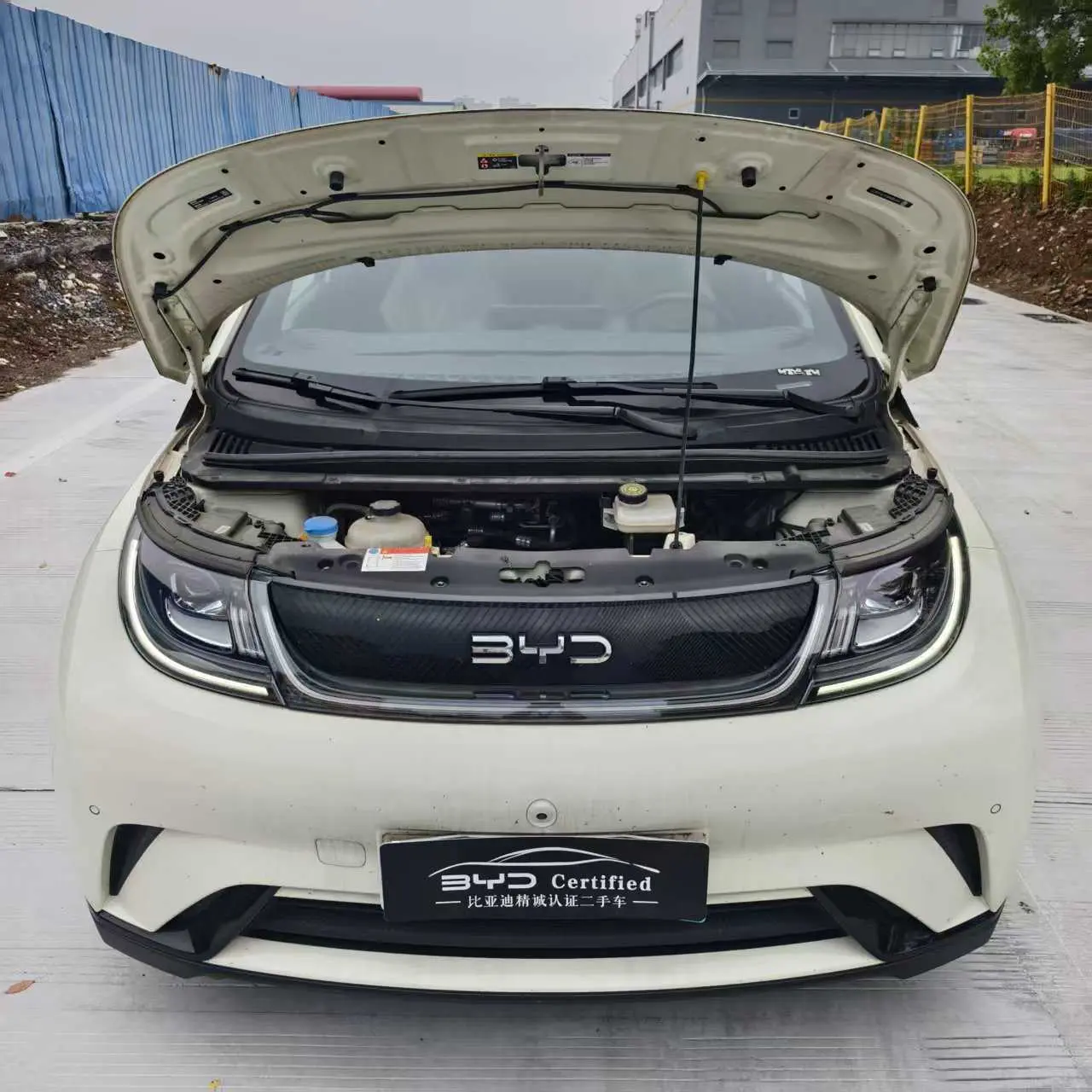 BYD Dolphin
