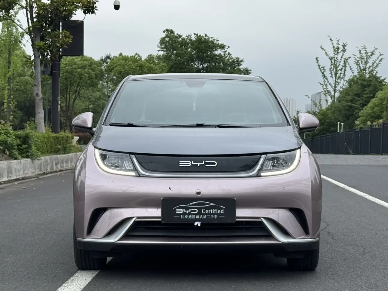 BYD Dolphin