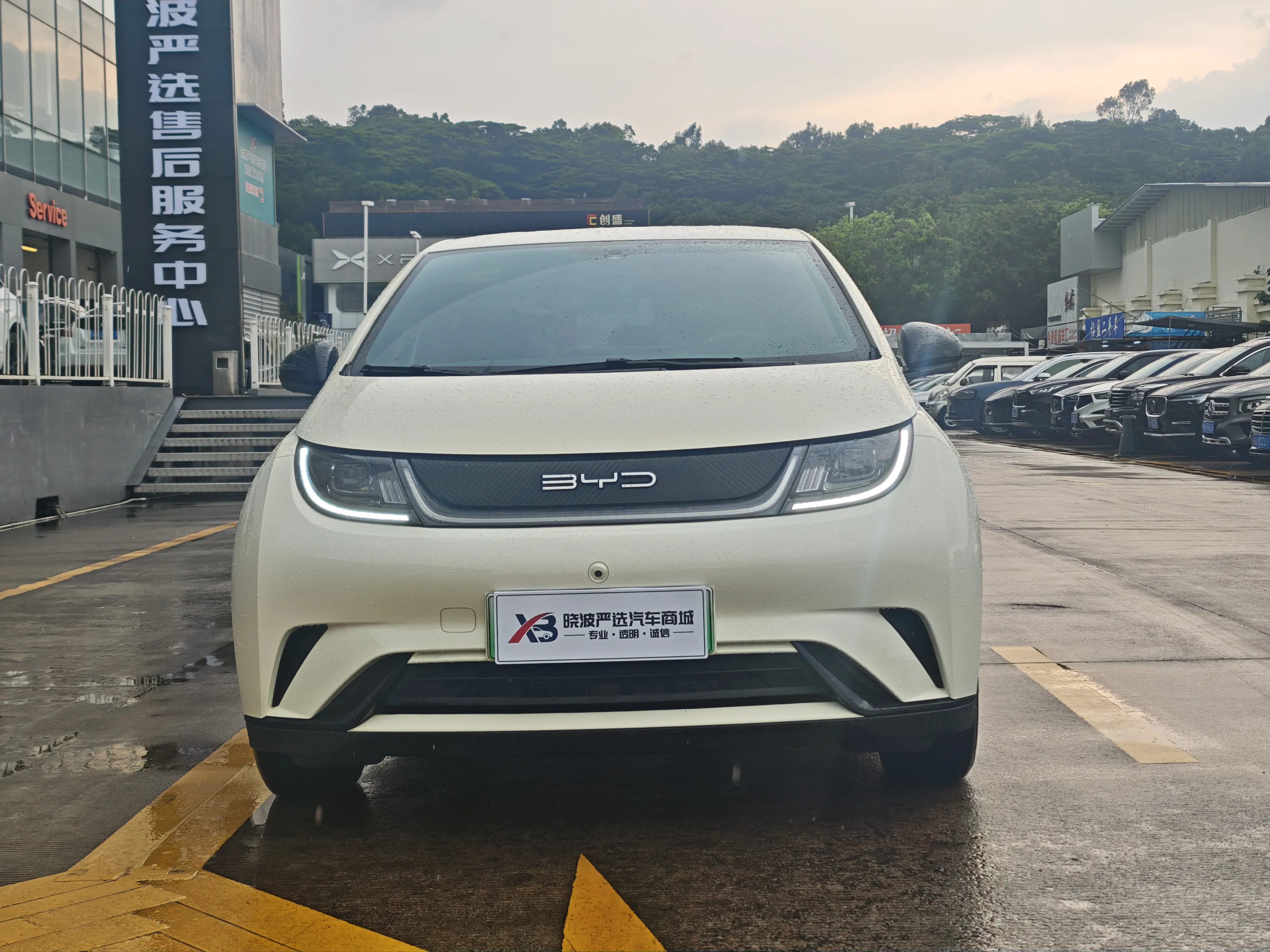BYD dolphin