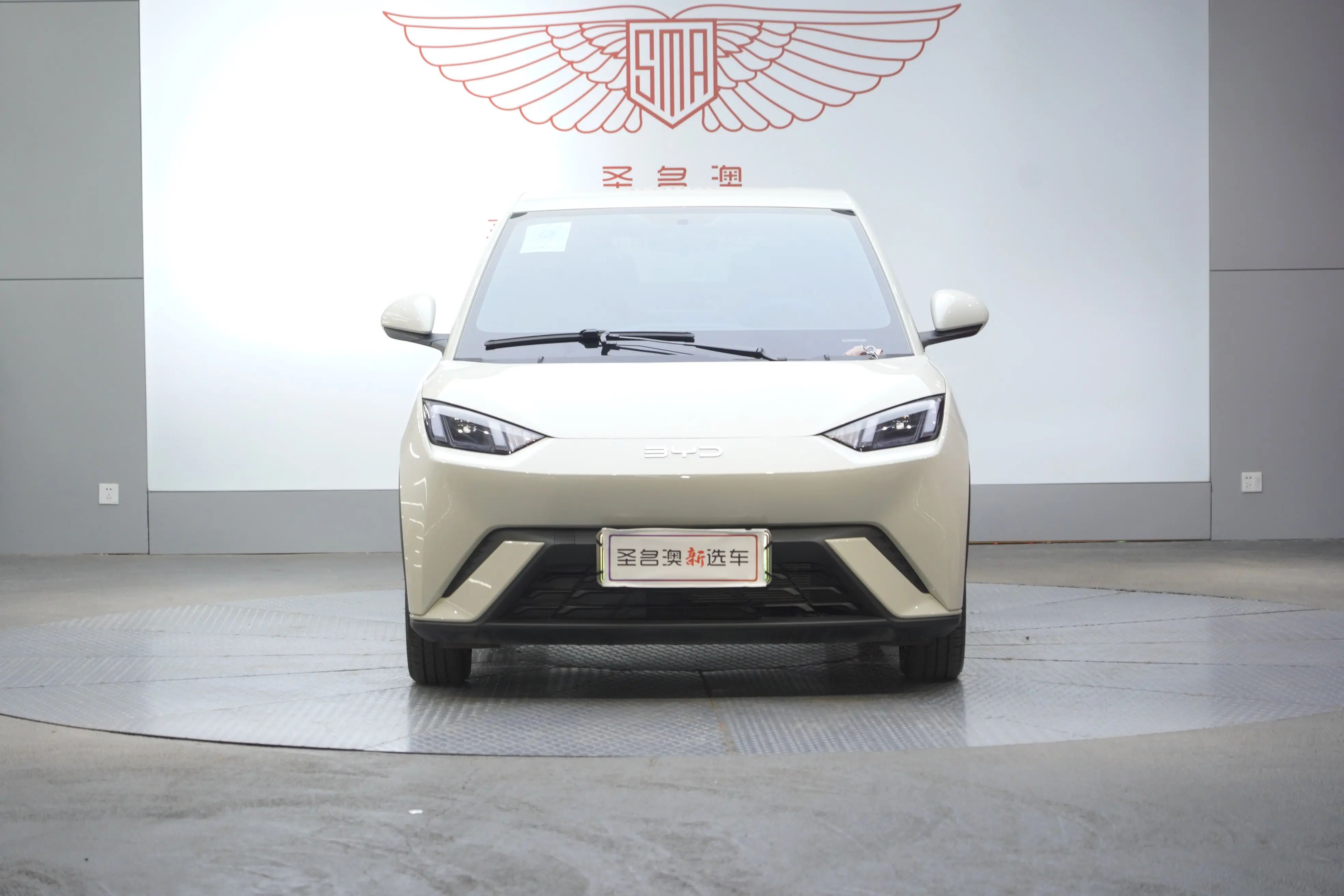 BYD Seagull