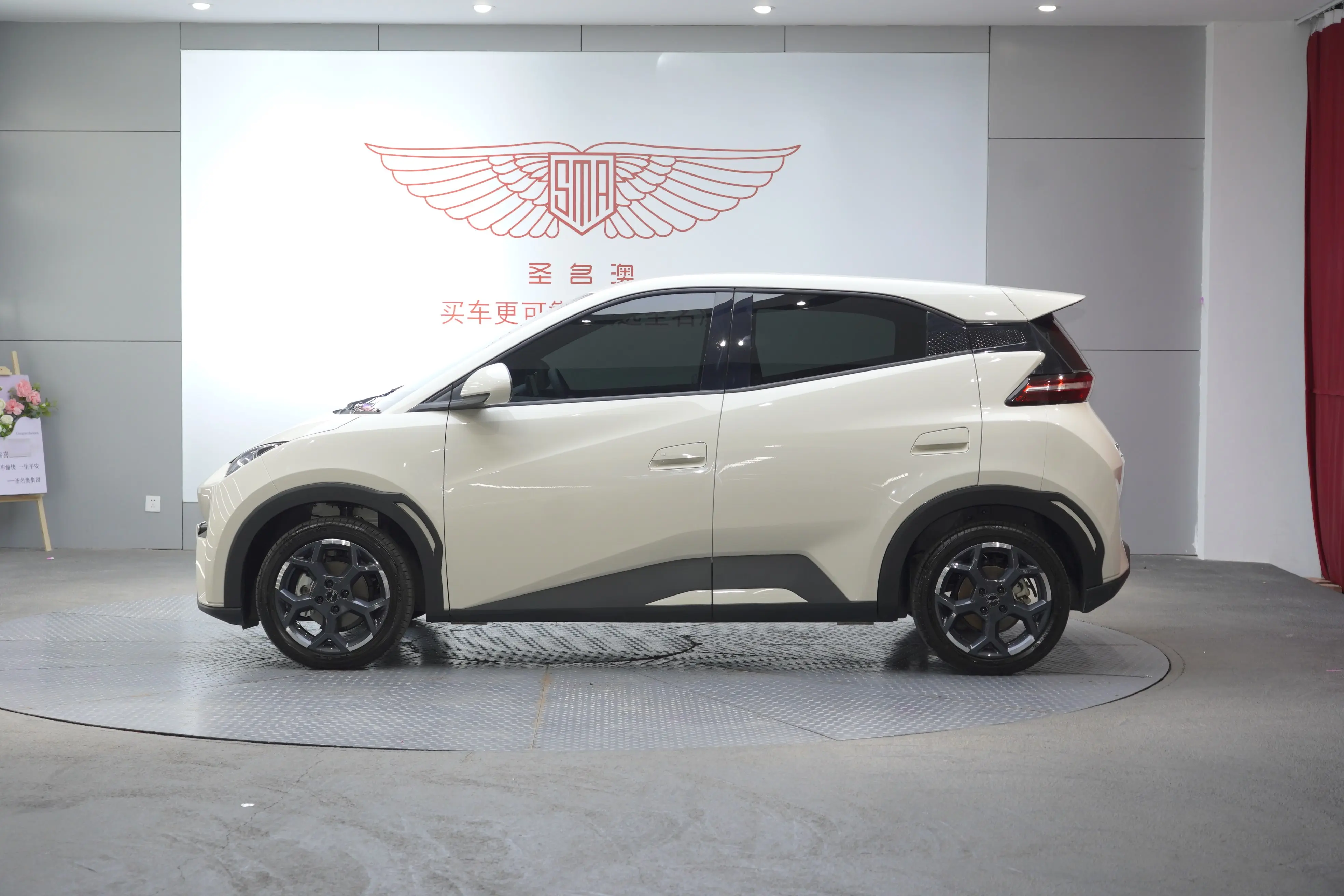 BYD Seagull