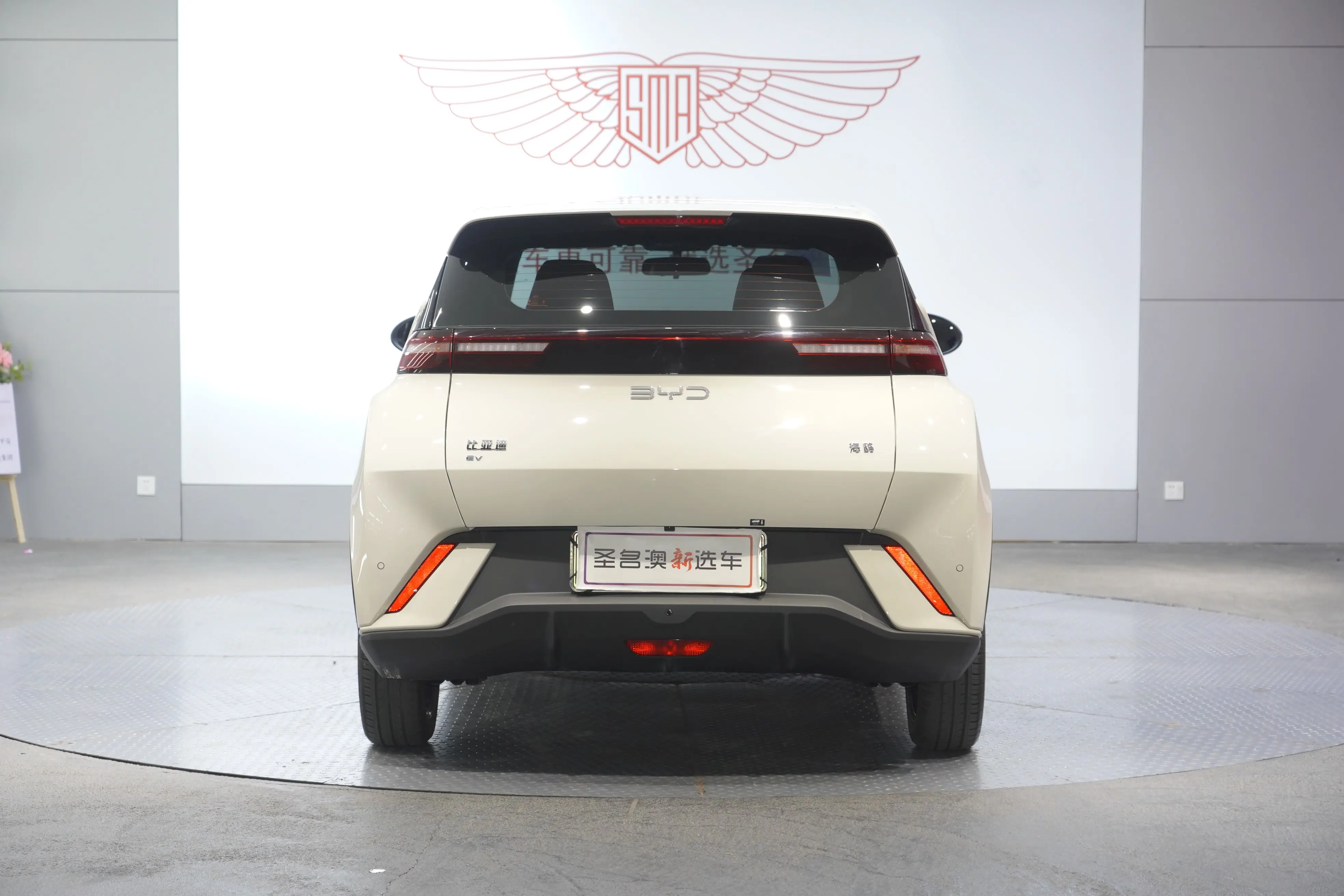 BYD Seagull