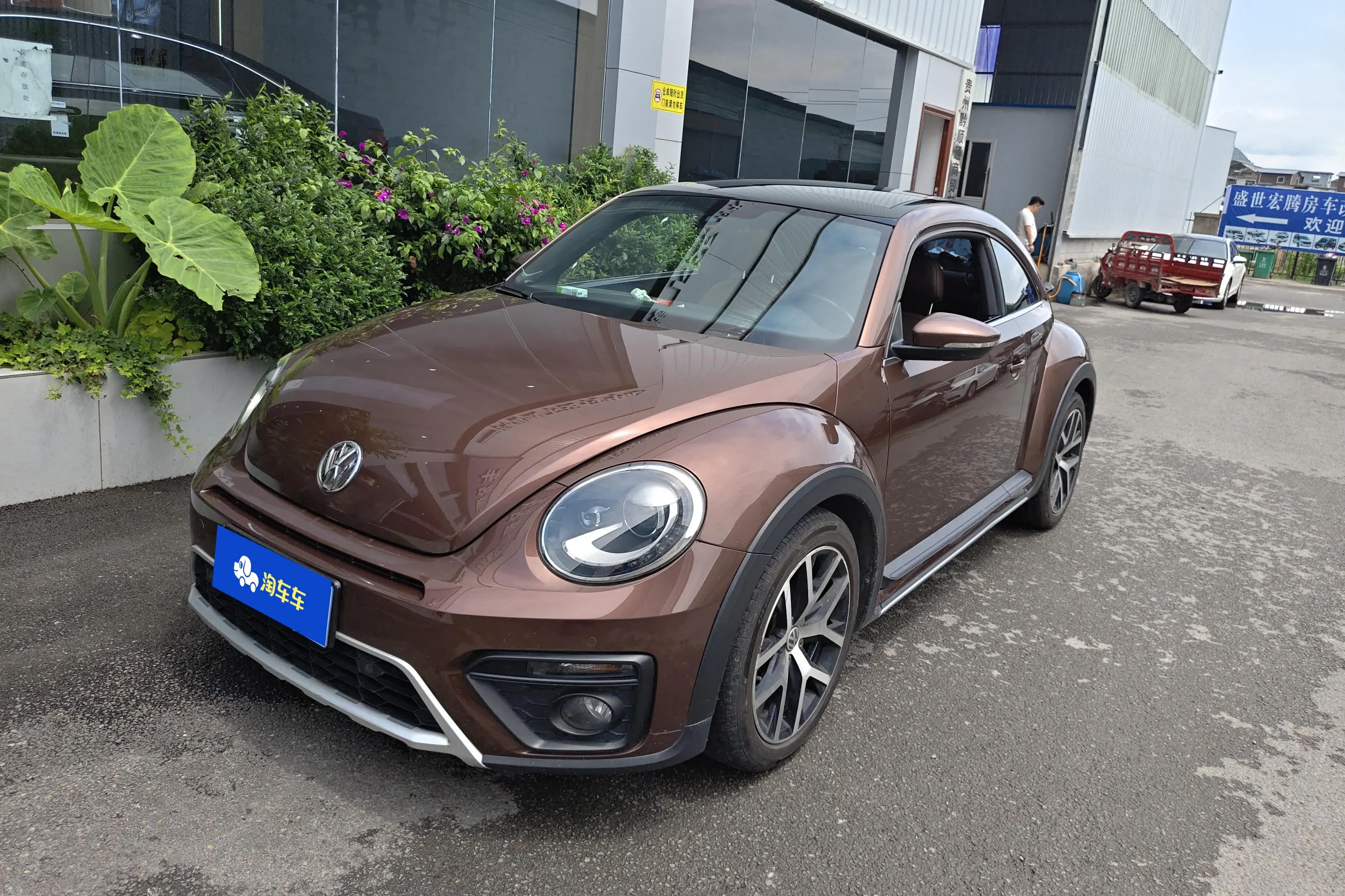 Volkswagen Beetle