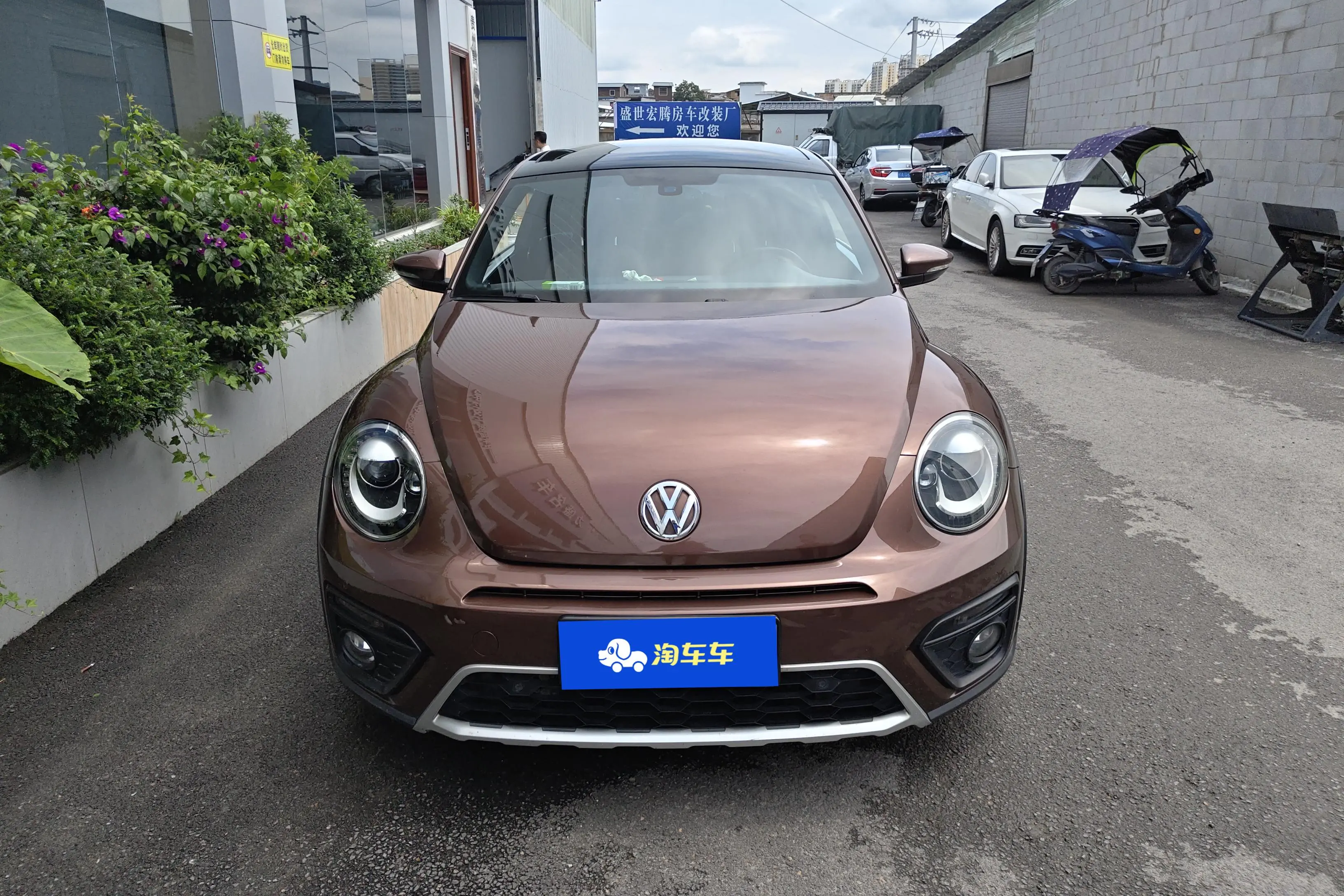 Volkswagen Beetle