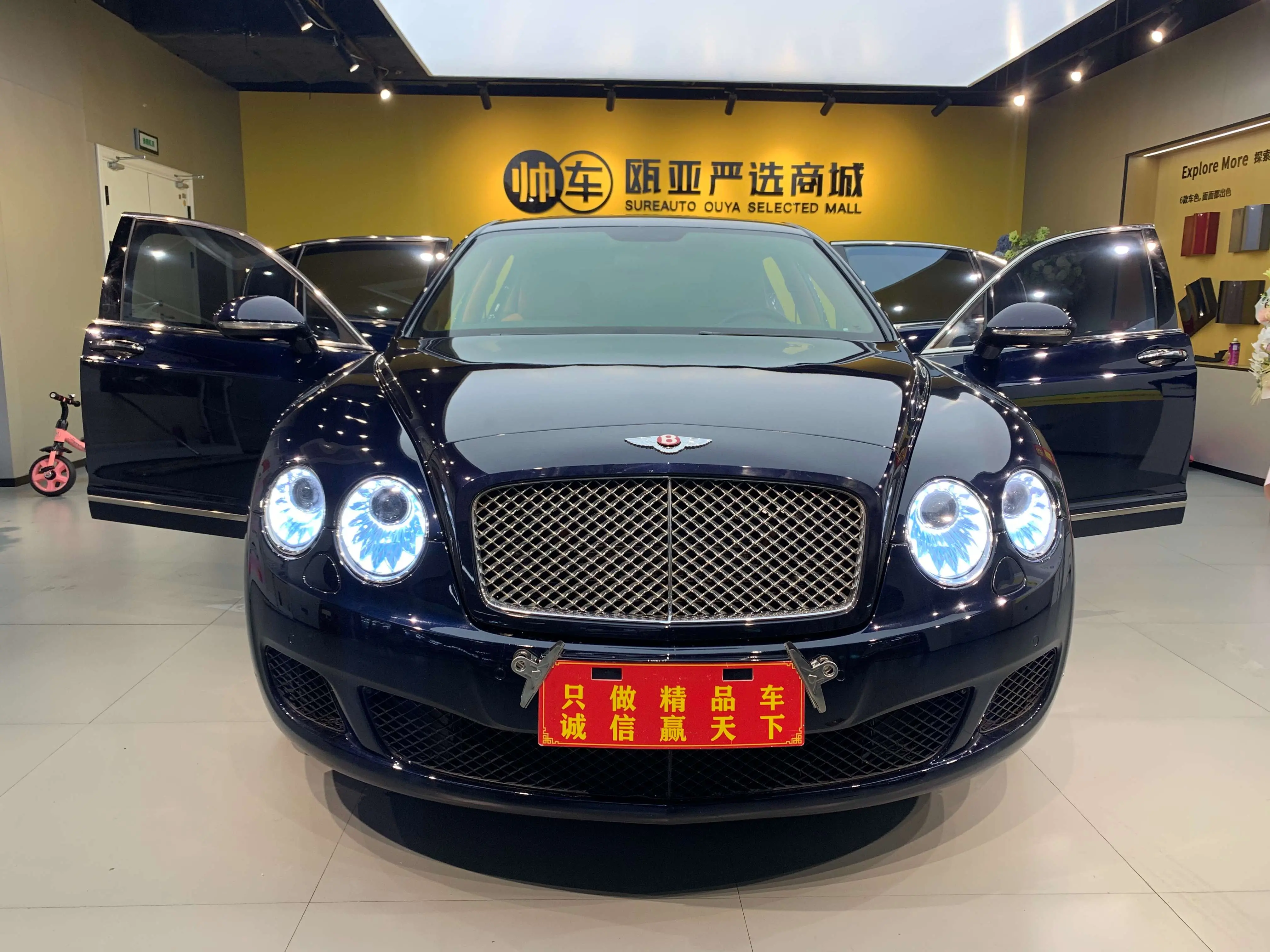 Bentley Galloping