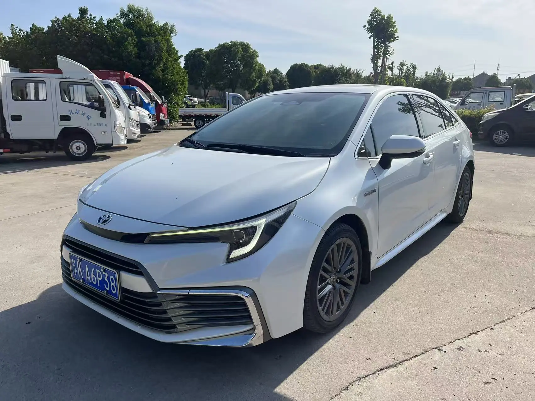 Toyota Levin