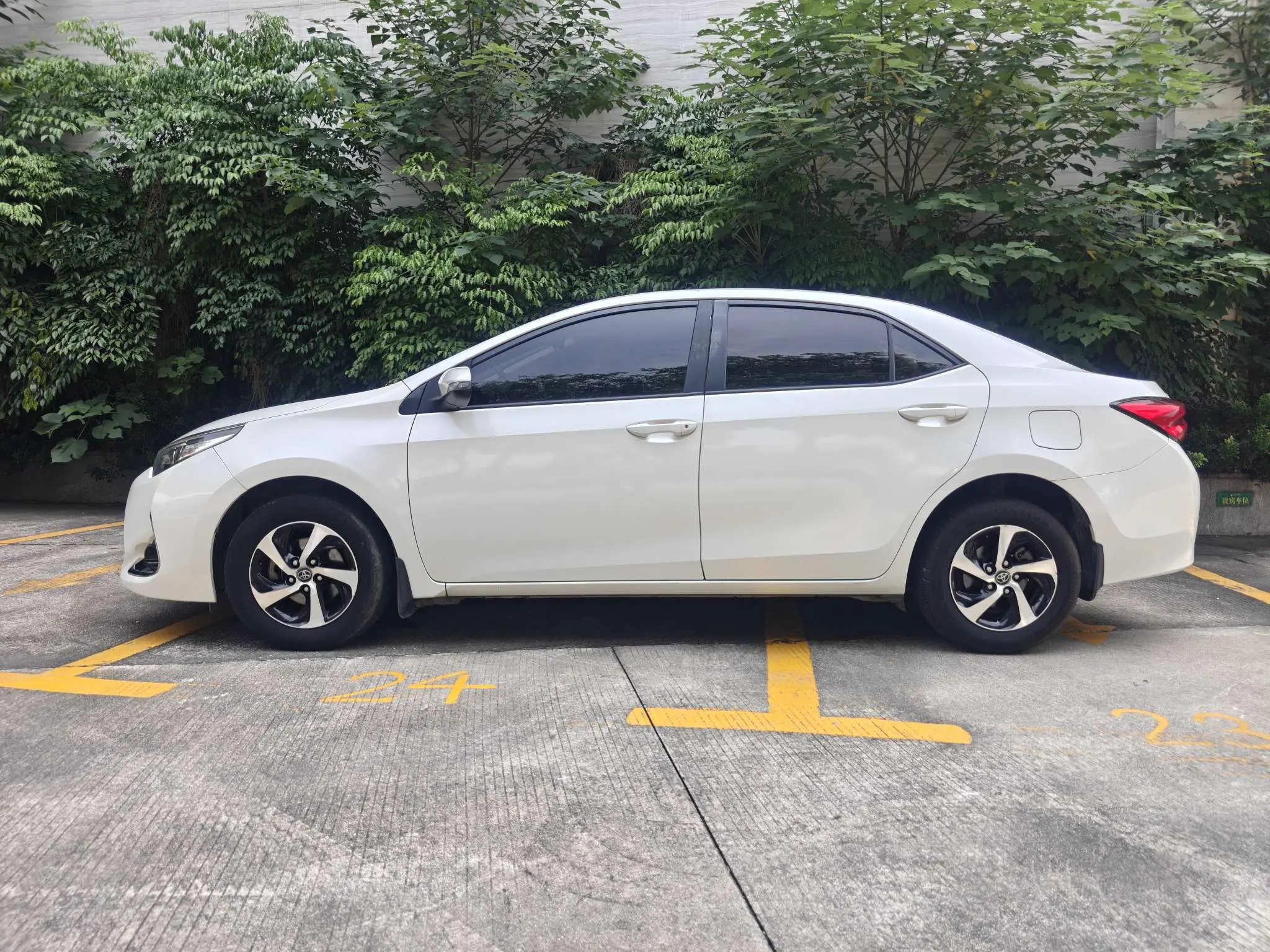 Toyota Levin