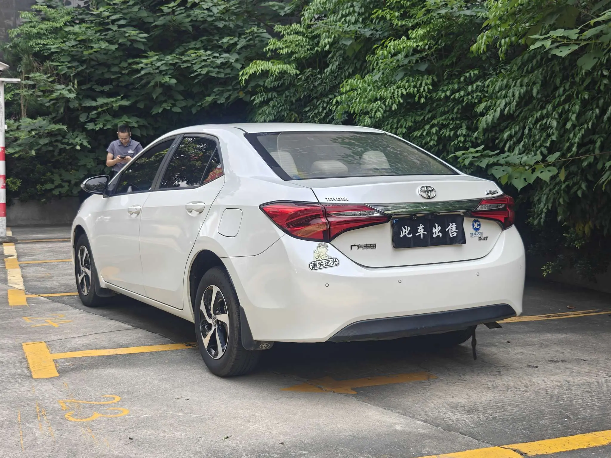 Toyota Levin
