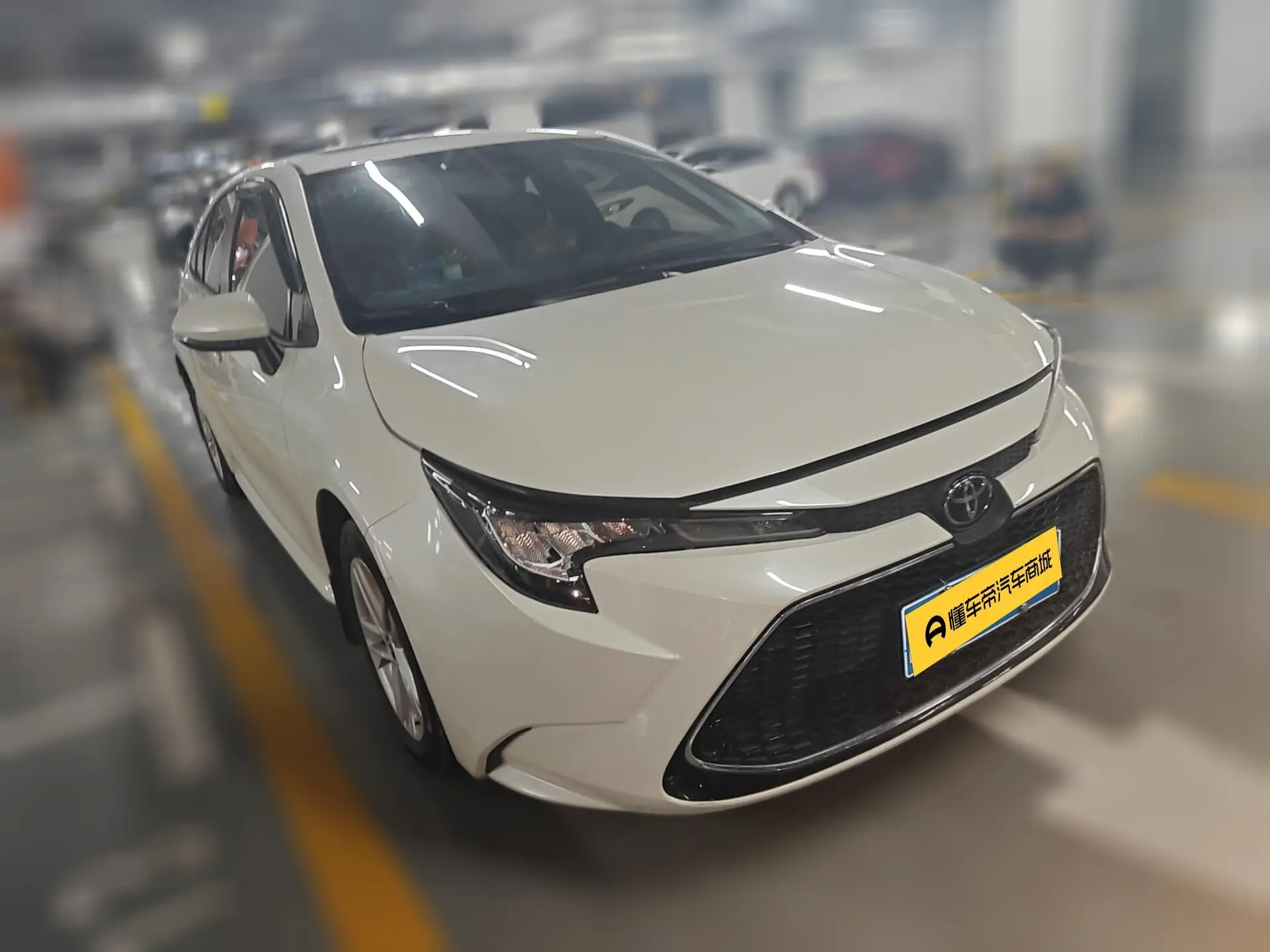 Toyota Levin