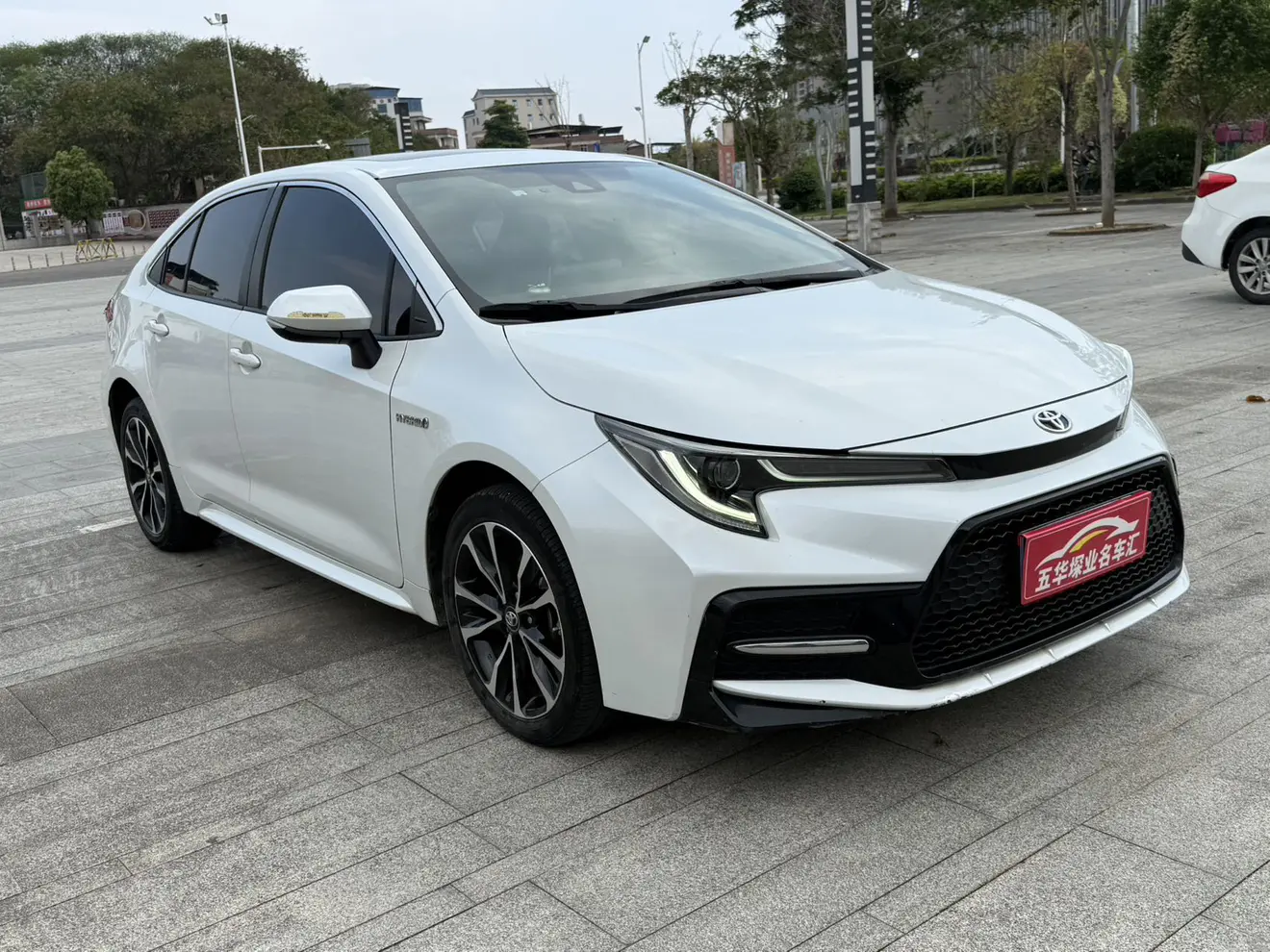 Toyota Levin