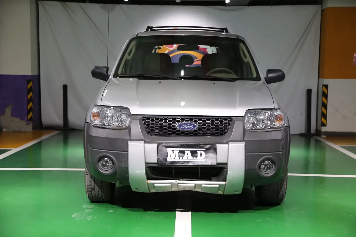 Ford Ruiji (imported)