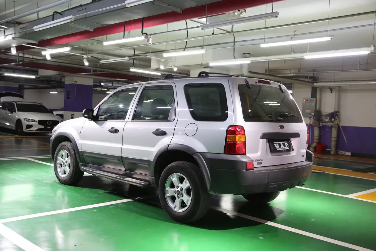 Ford Ruiji (imported)