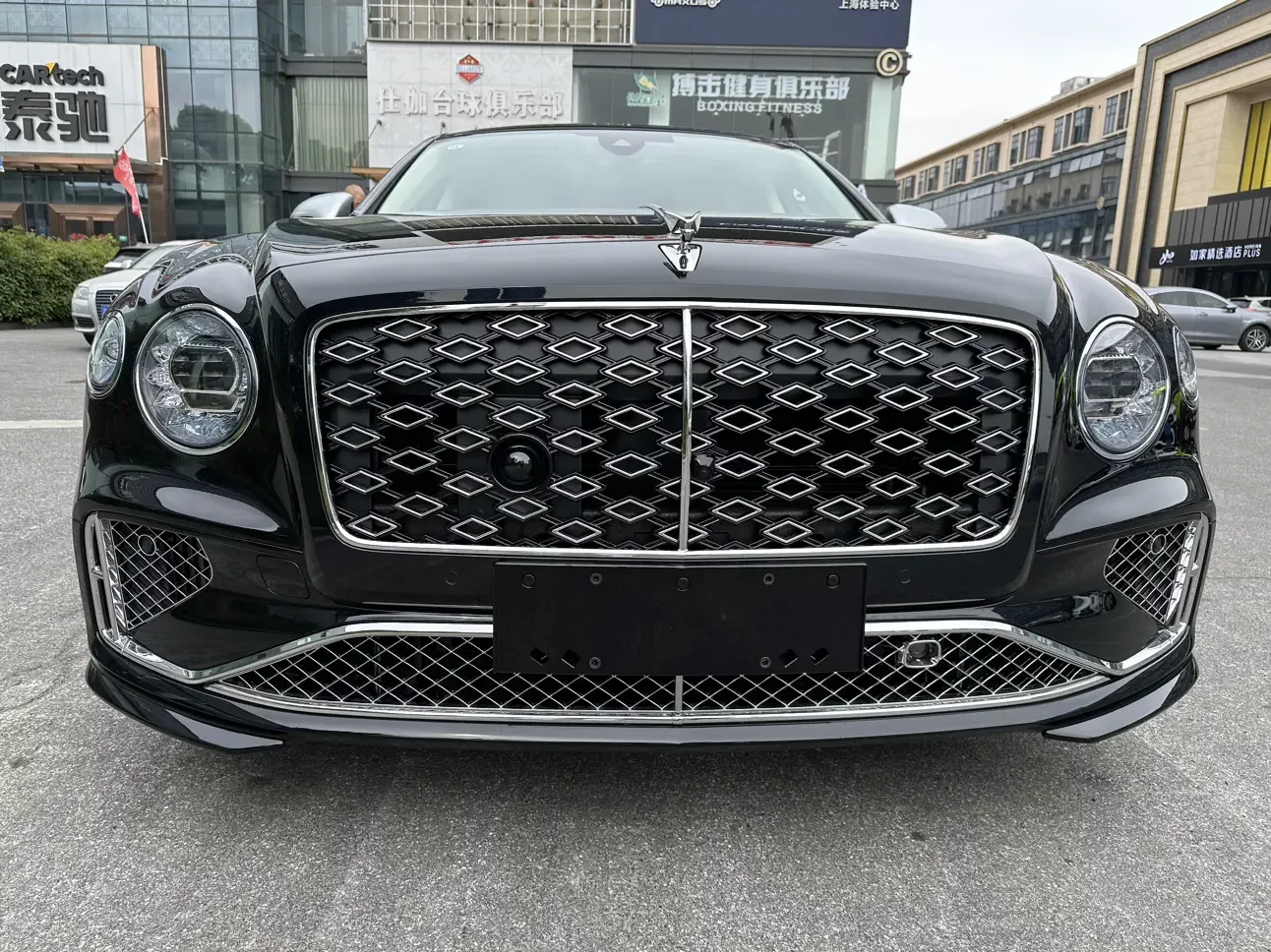 Bentley galloping