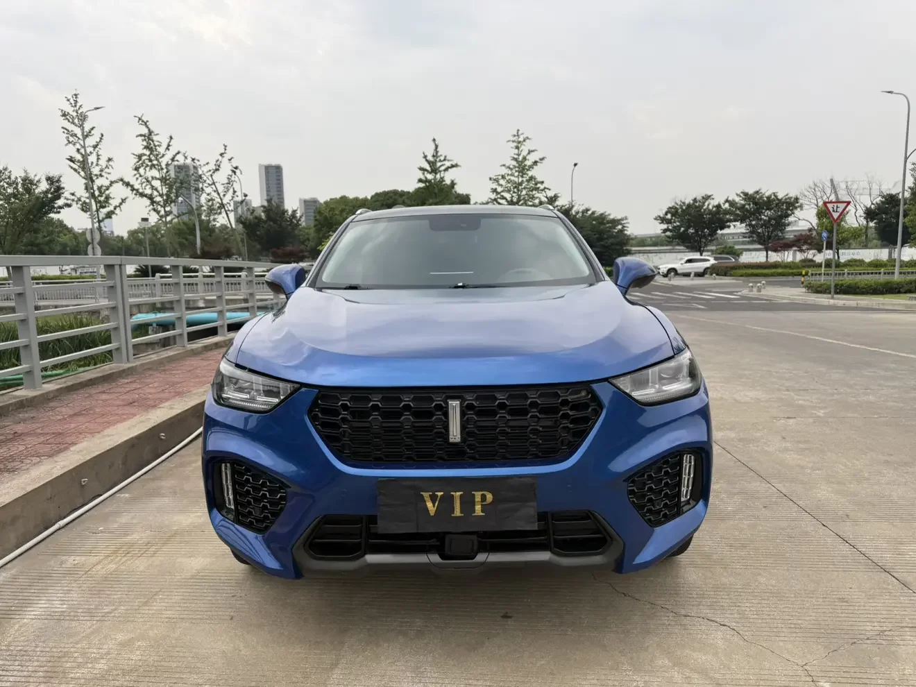 Wey Wei brand VV5