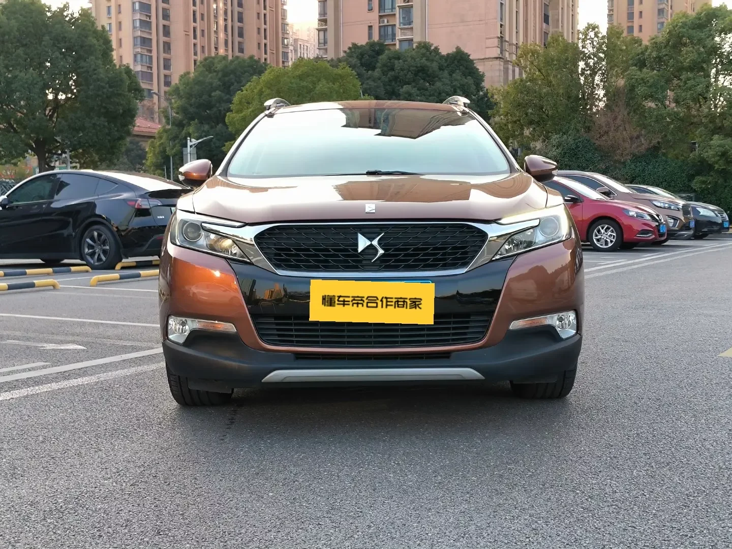 DS 6