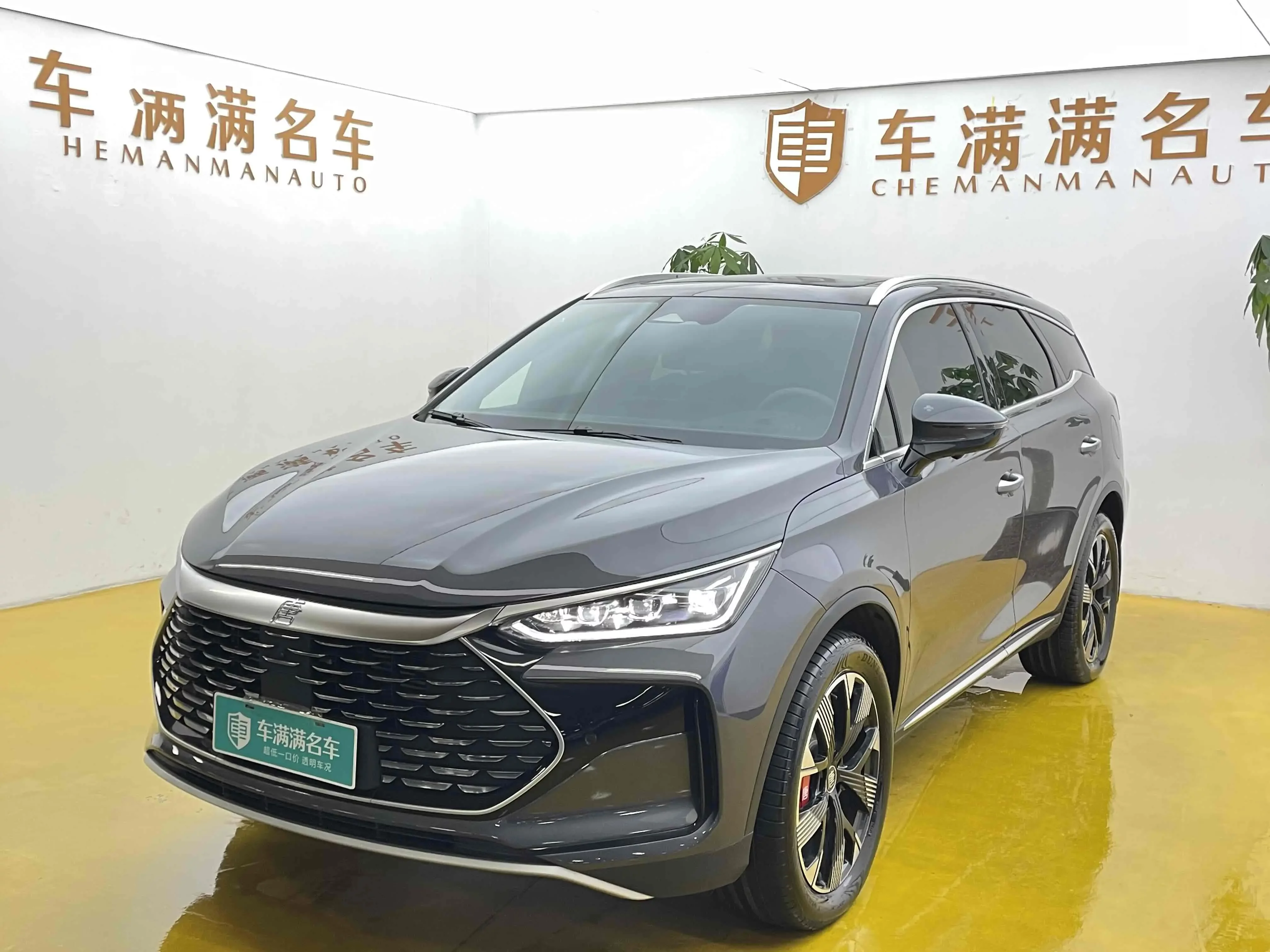 BYD Tang DM